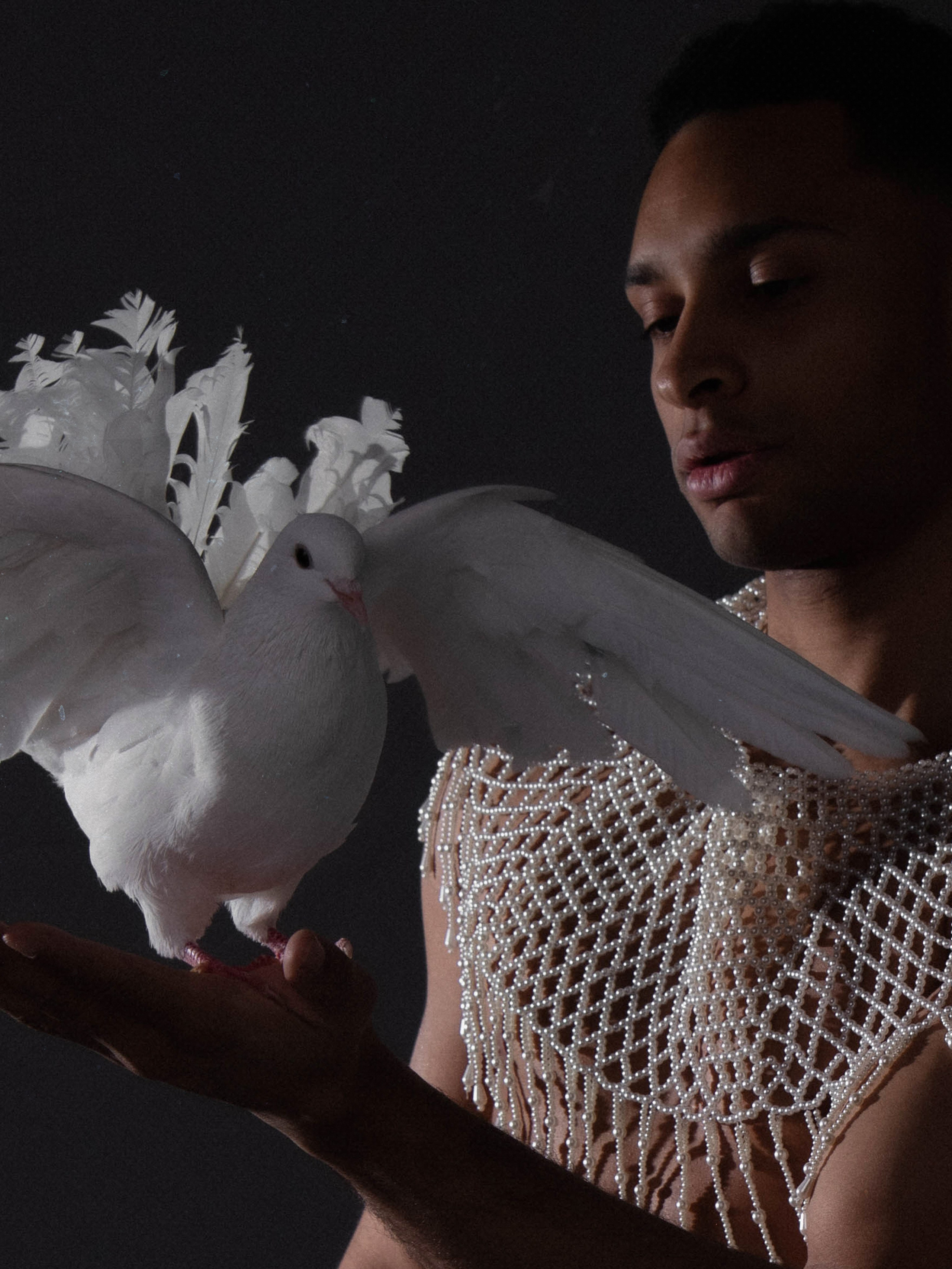 020. Palagina Ksusha, photographer in NY