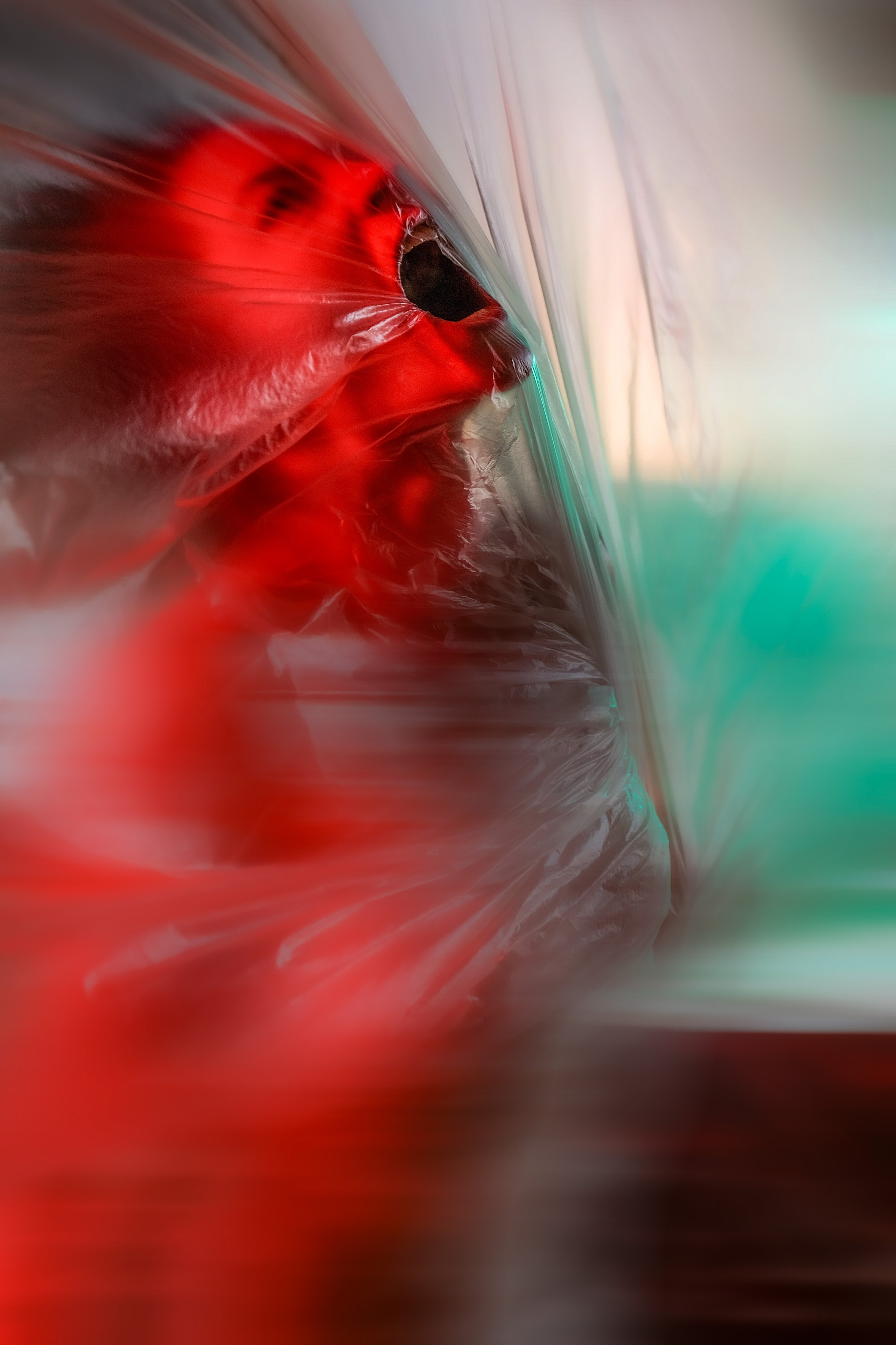 Творческая съёмка в Санкт-Петербурге. Авторская фотосессия. Фотограф I Санкт-Петербург