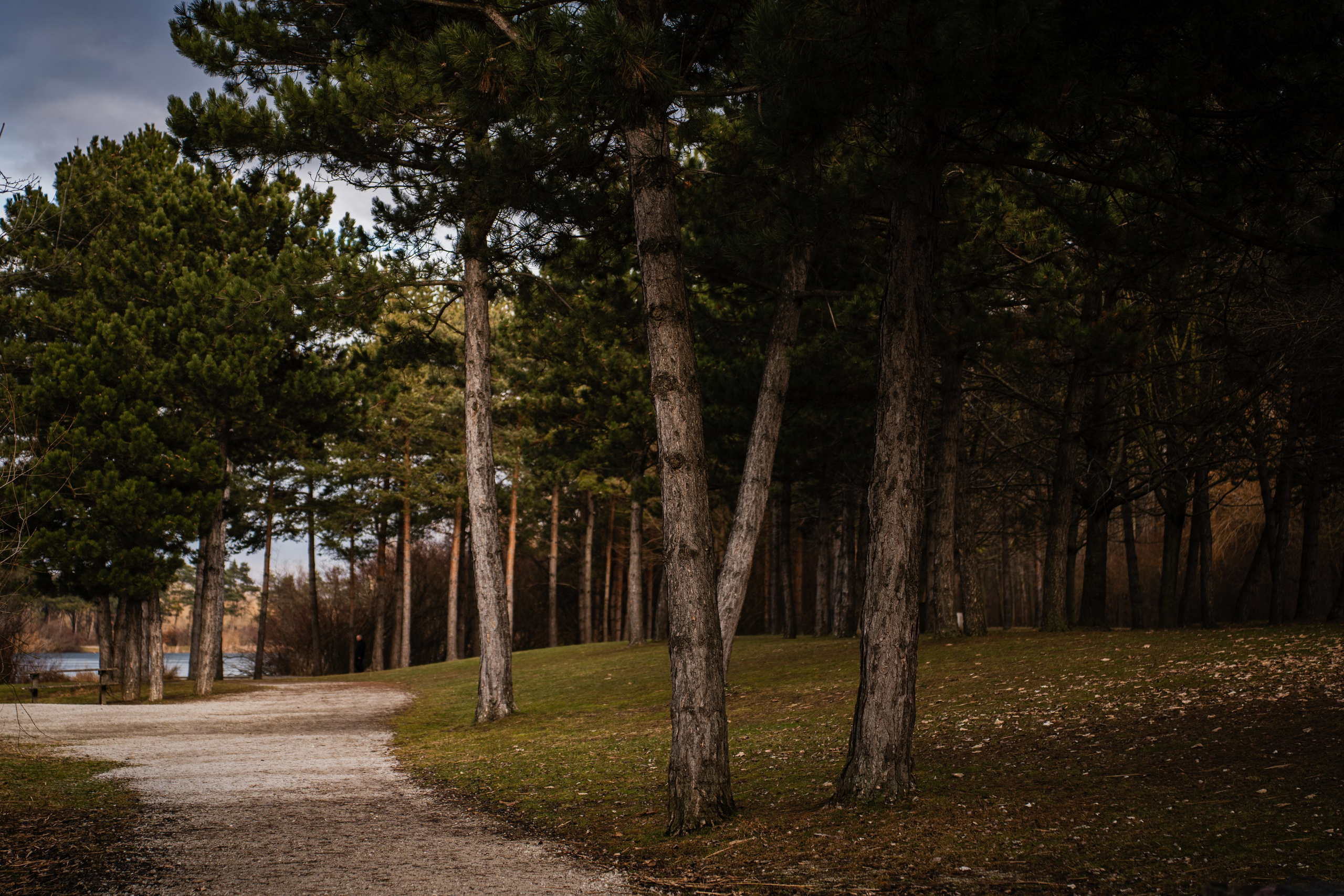 Landscapes. Marius Claudiu Photography – Professional Photographer in St. Pölten