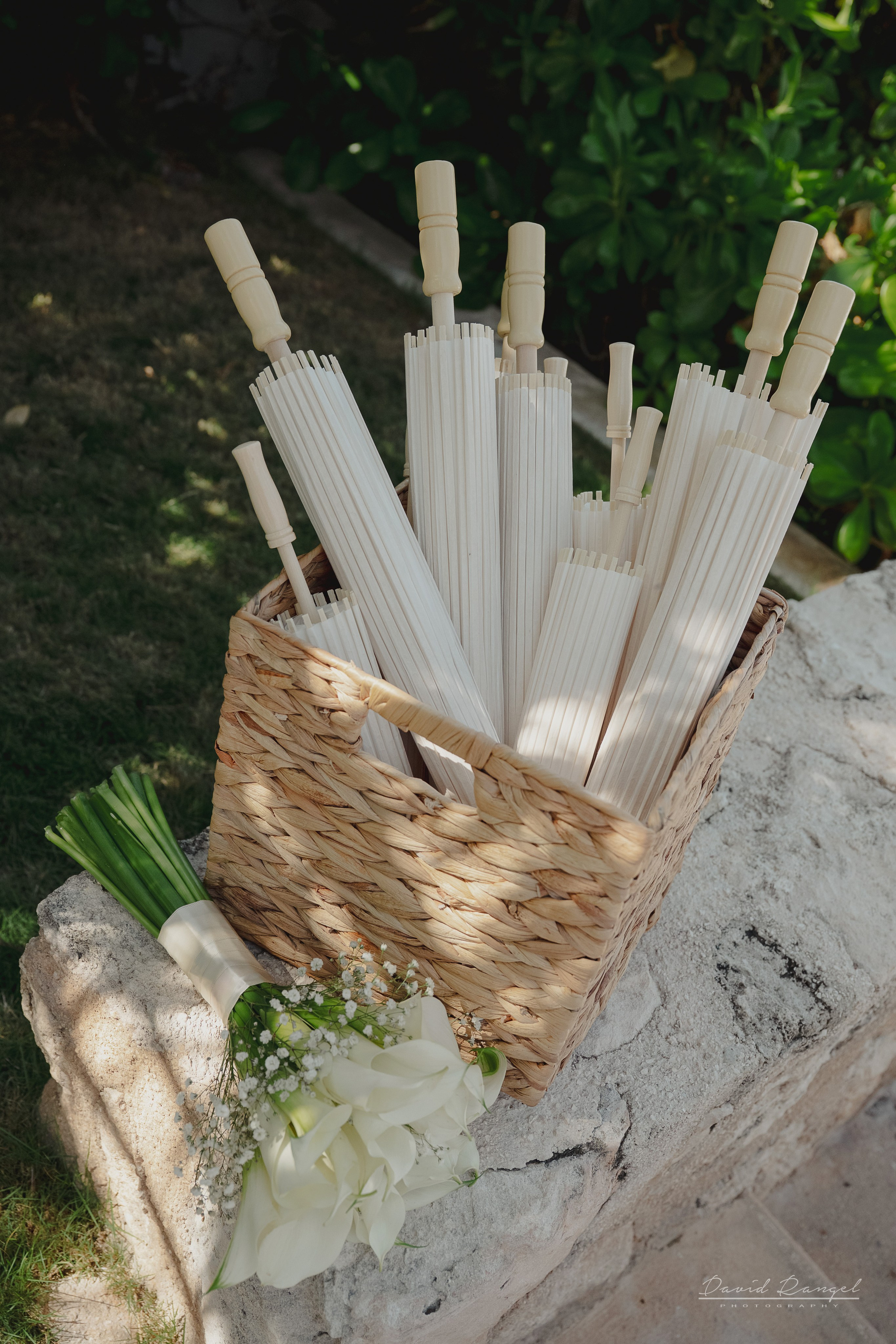 Destination Wedding on Isla Mujeres