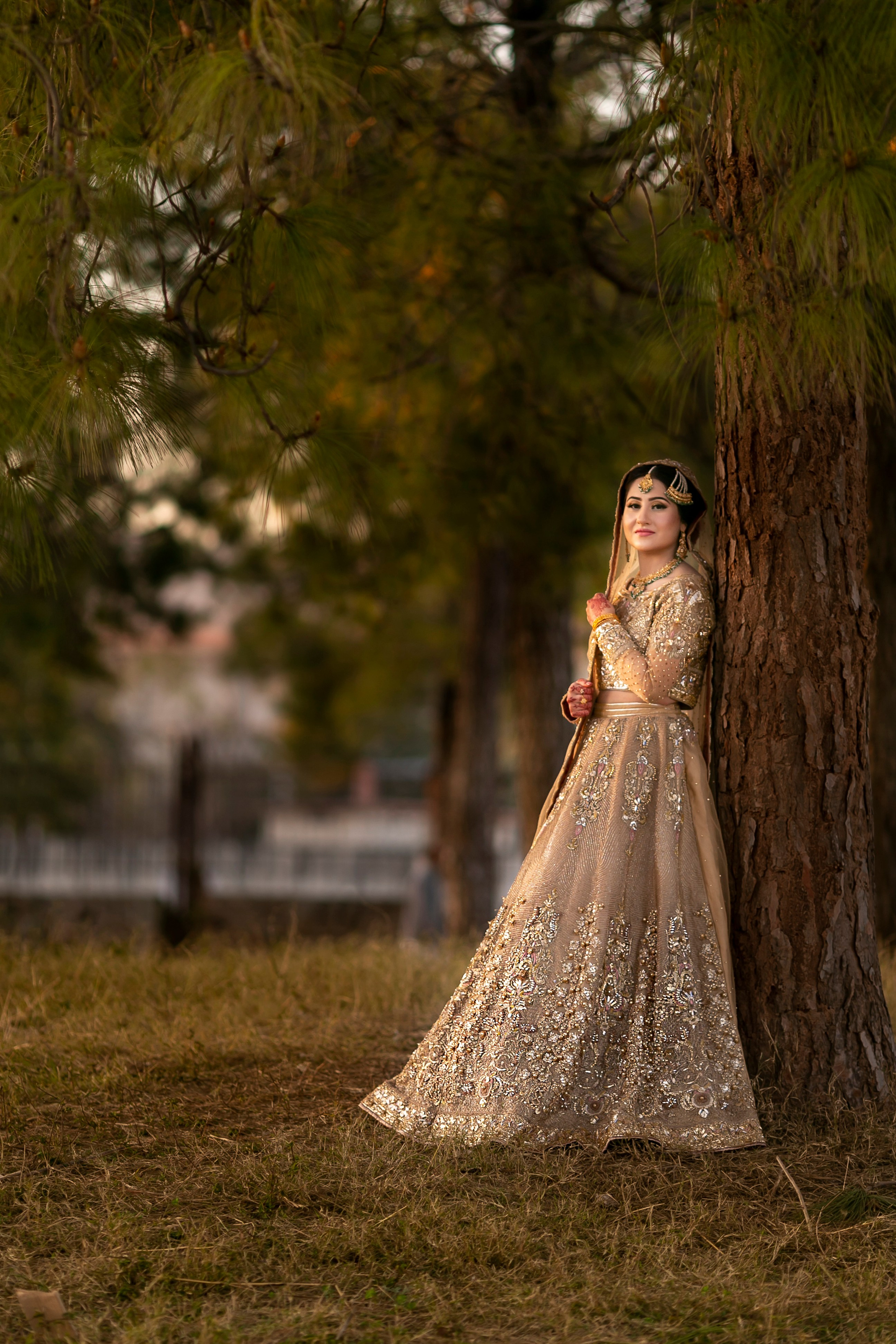 Portfolio. Chaar Bhai — Your Personal Family Historians