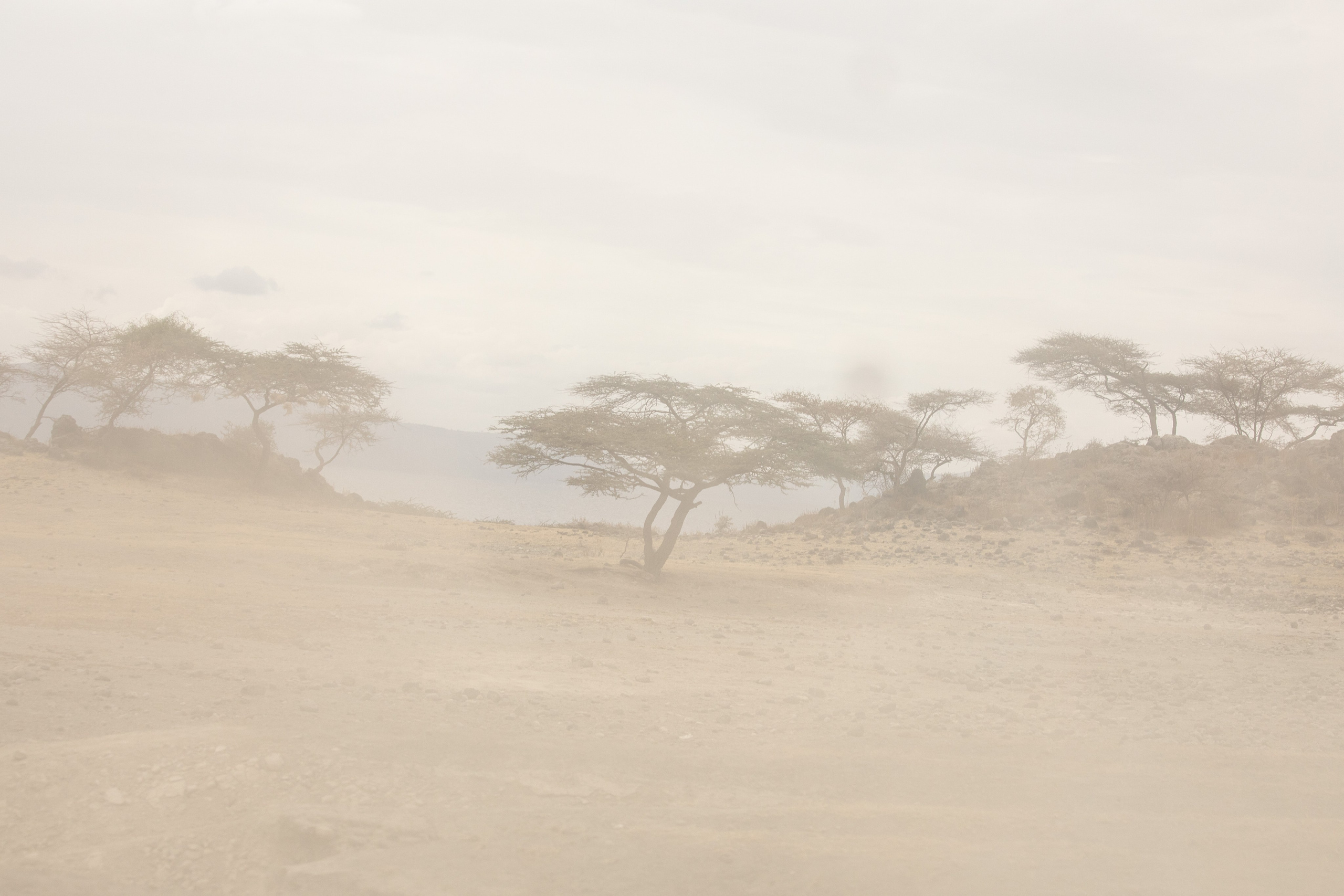 Abijatta Shalla National Park, Ethiopia. Documentary, lifestile photographer in Morocco Marina Chaikovskaia