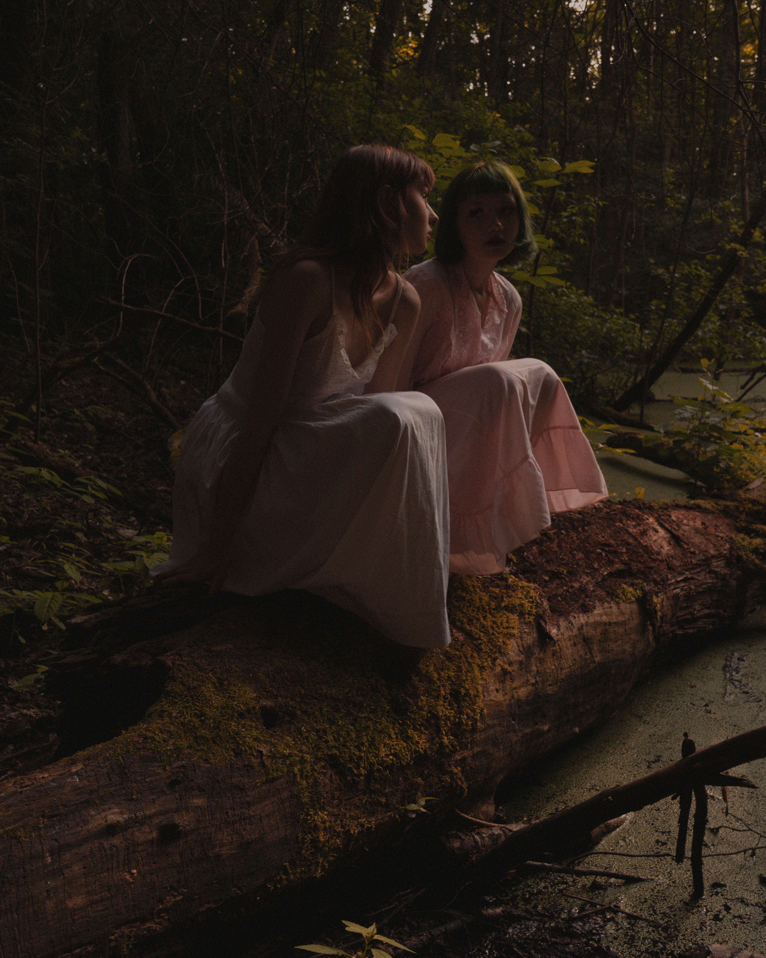 Nature. RRproduction