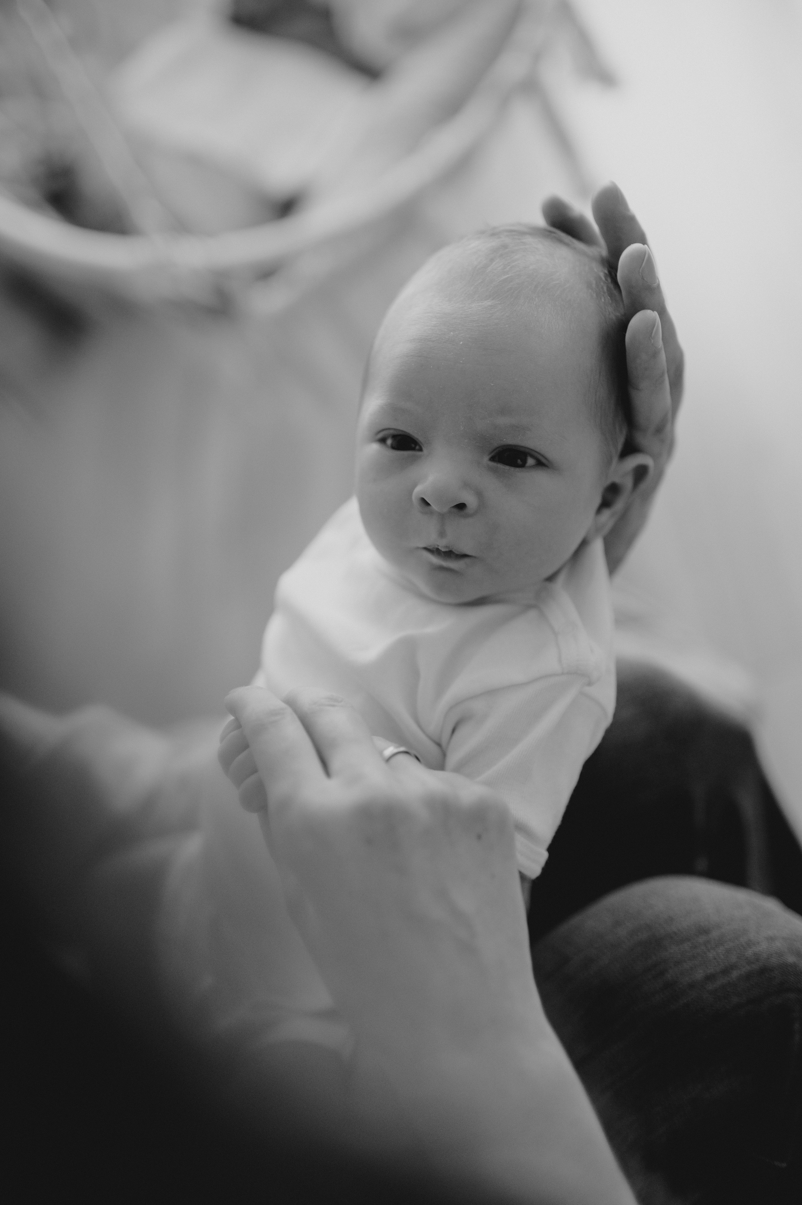 Ljubav. Ana Sladojevic