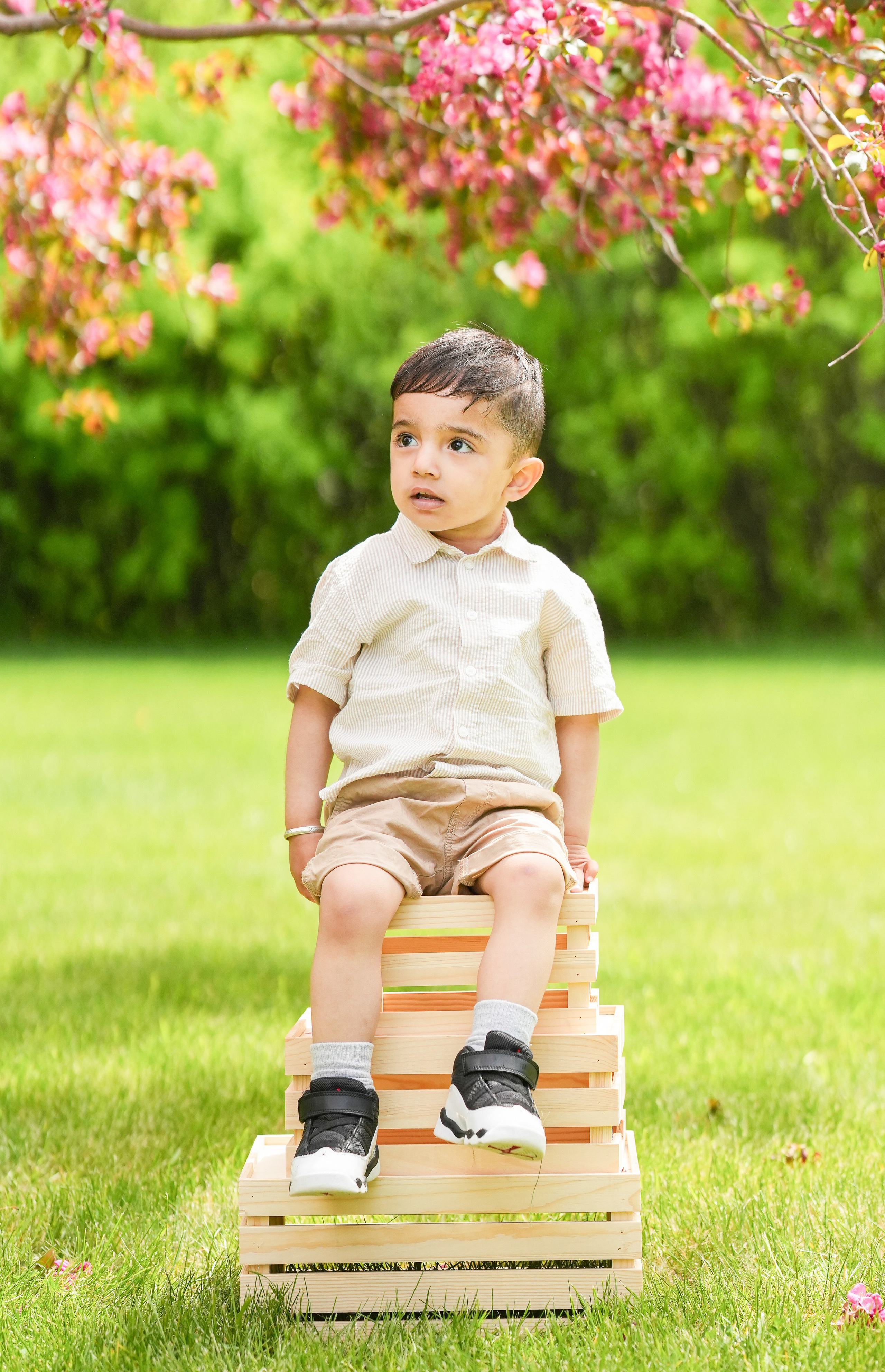 Spring Photo Day. Pashynska Photography | Calgary Wedding & Family Photographer