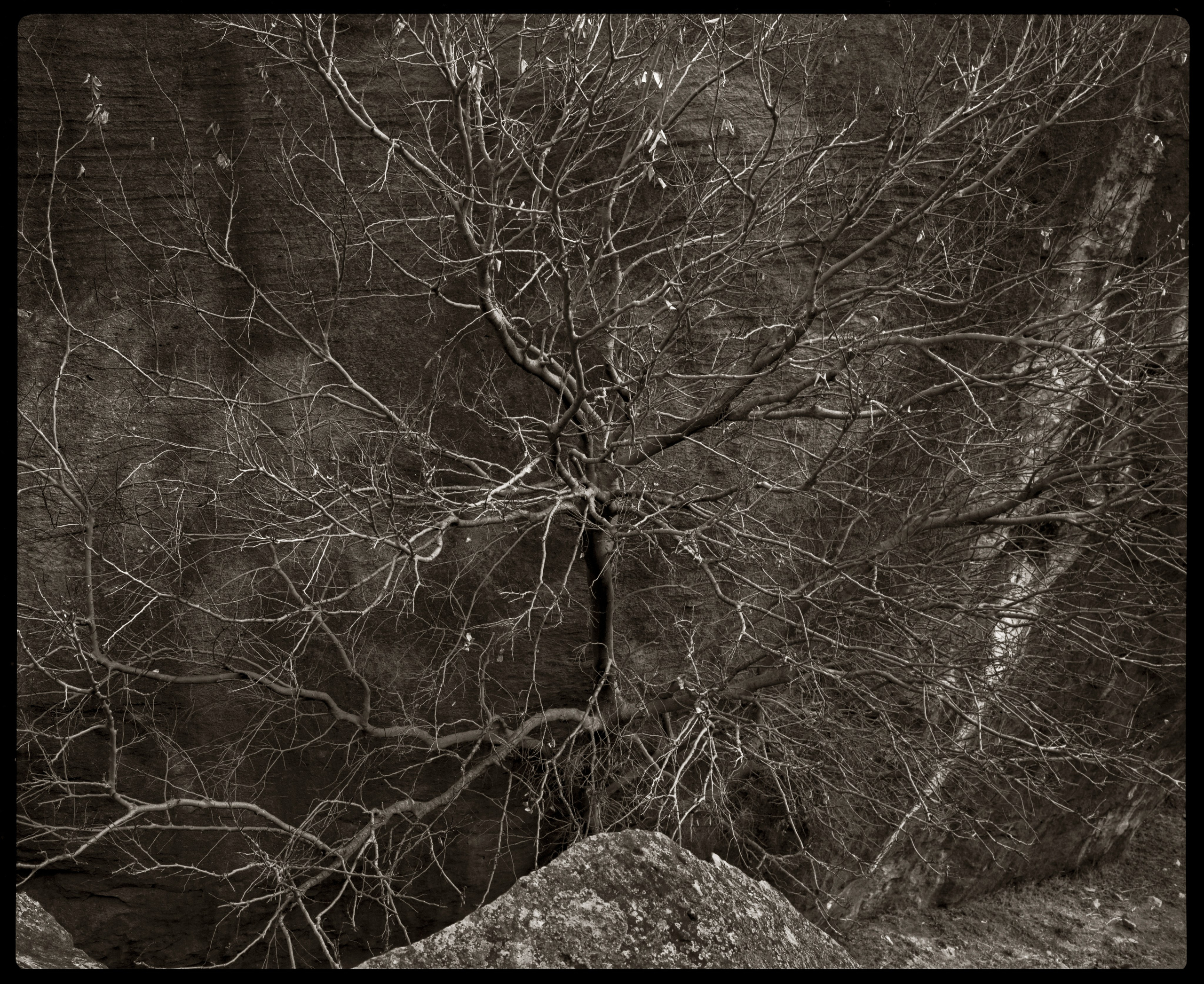 NATURE. Www.sananaleskerov.com