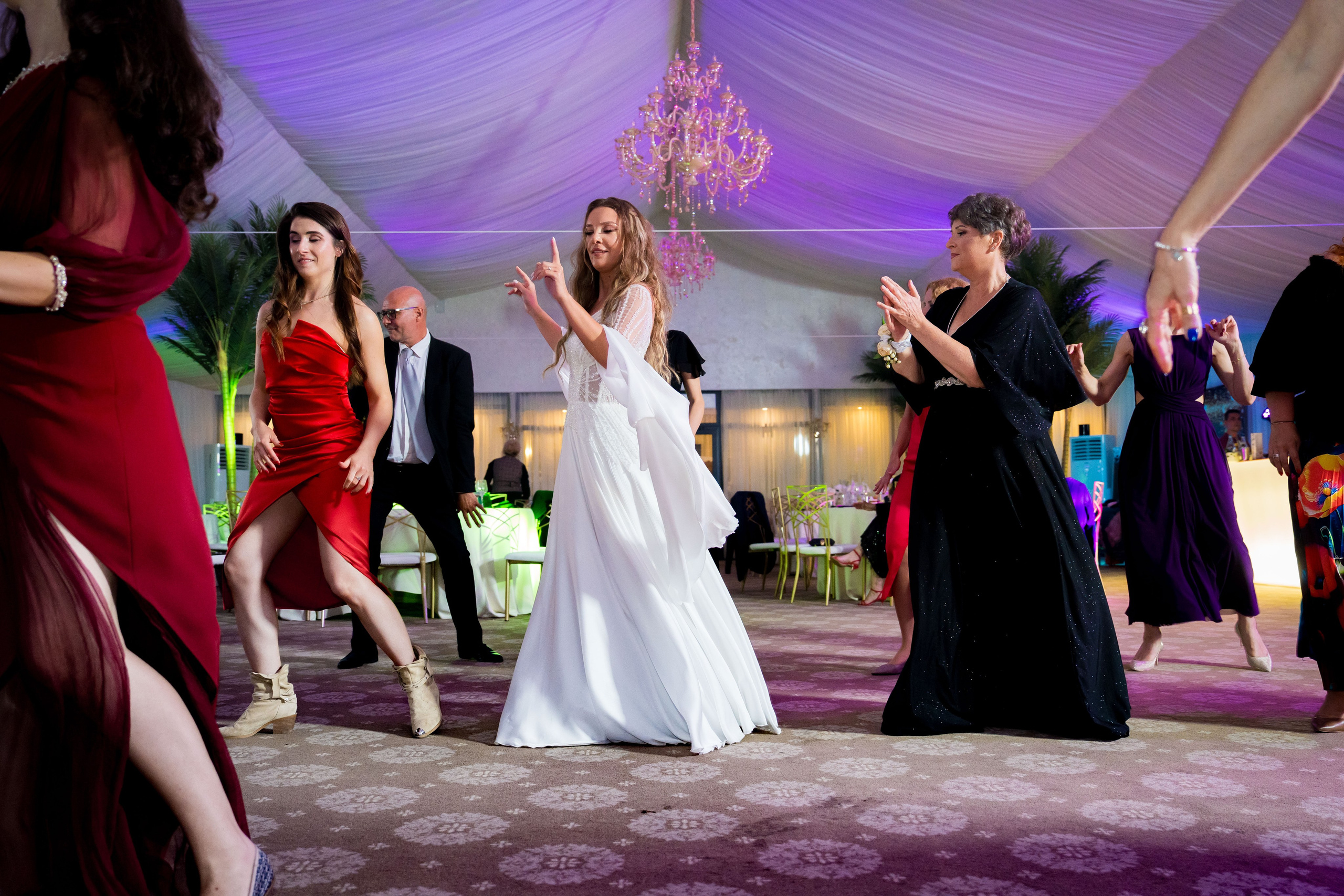 PARTY. Gabriel Florea — Fotograf nuntă București