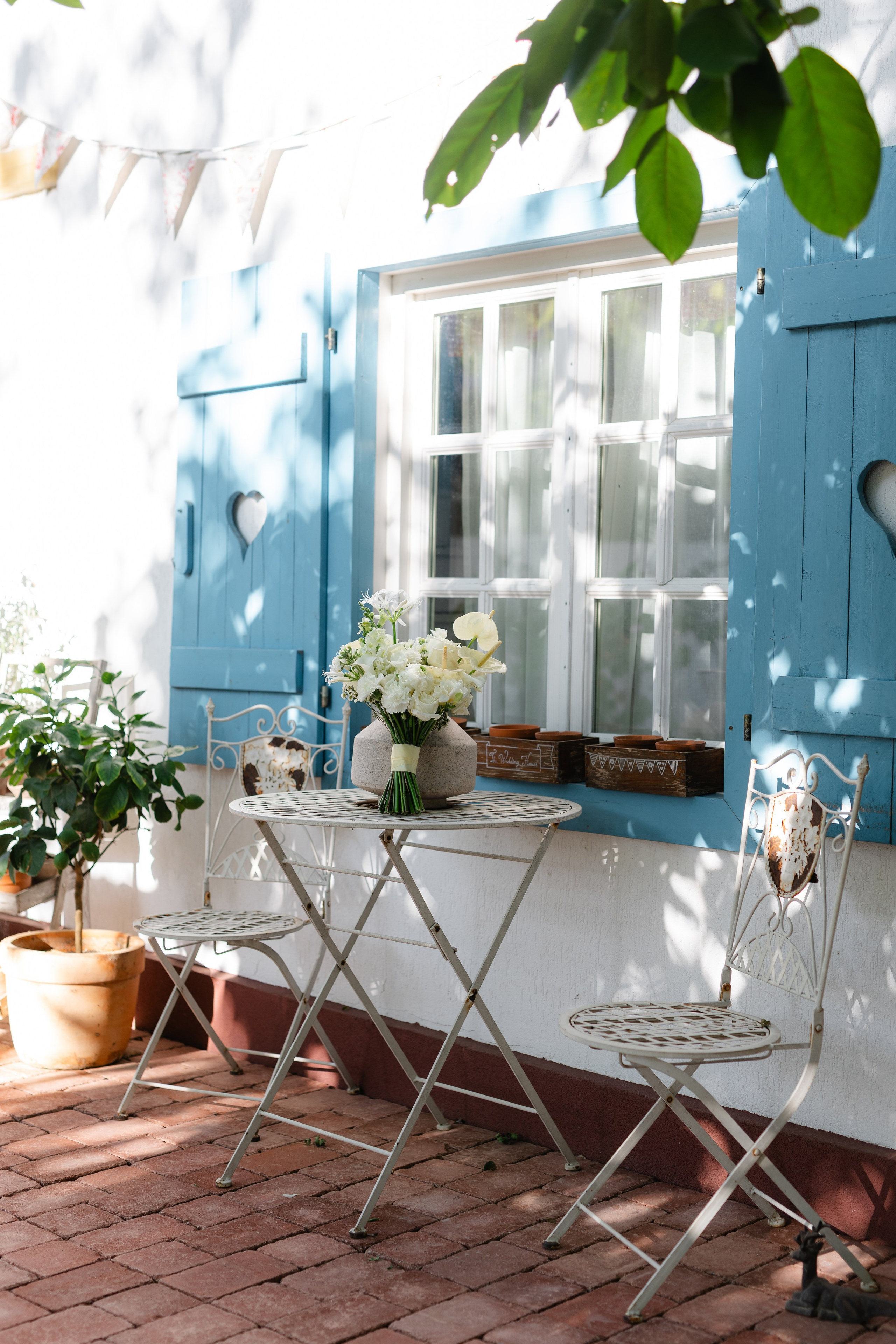 Natalia & Costin. Main