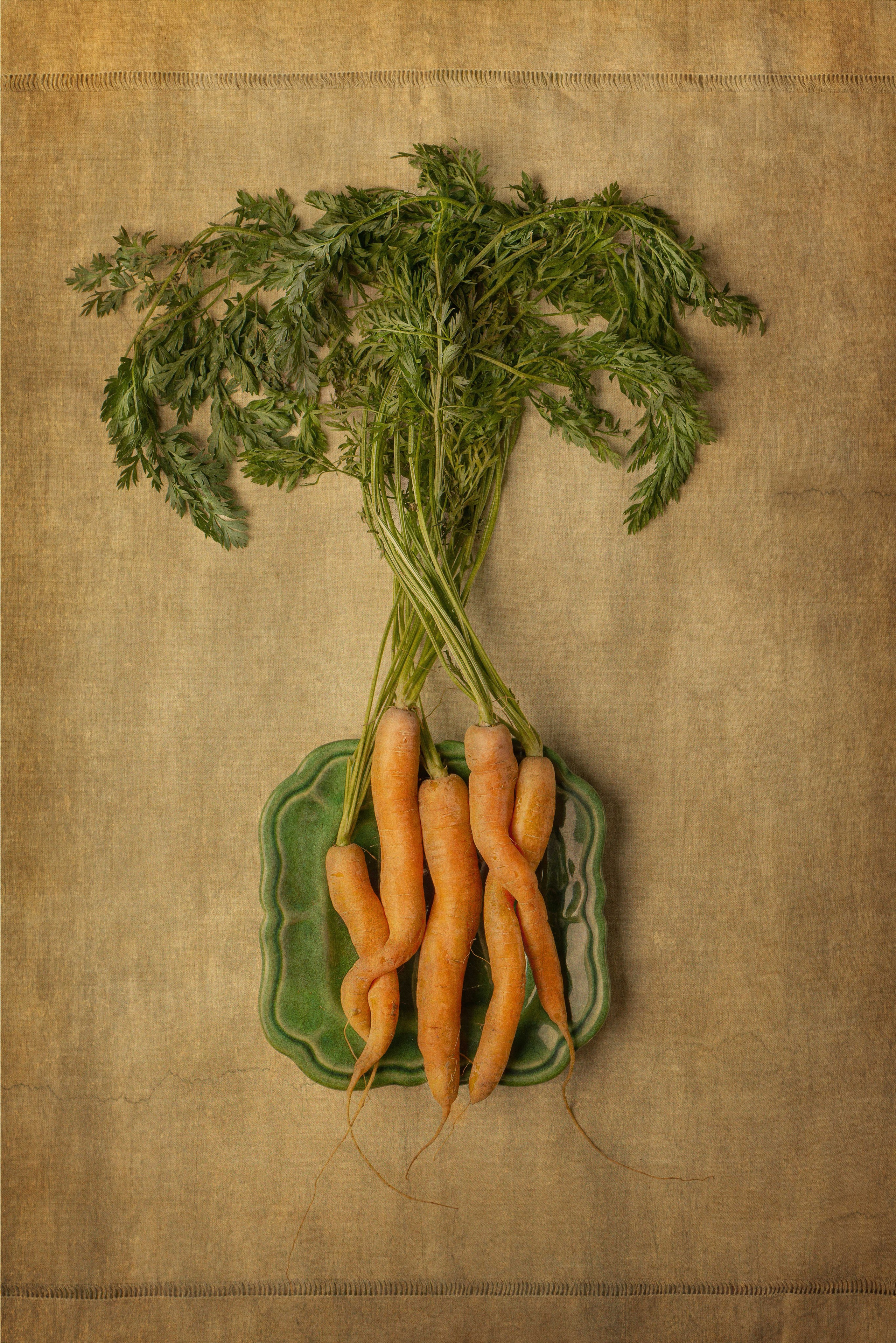 Fine Art photos. Wedding-Family photographer, South of France–Paris, Valentina Acrement