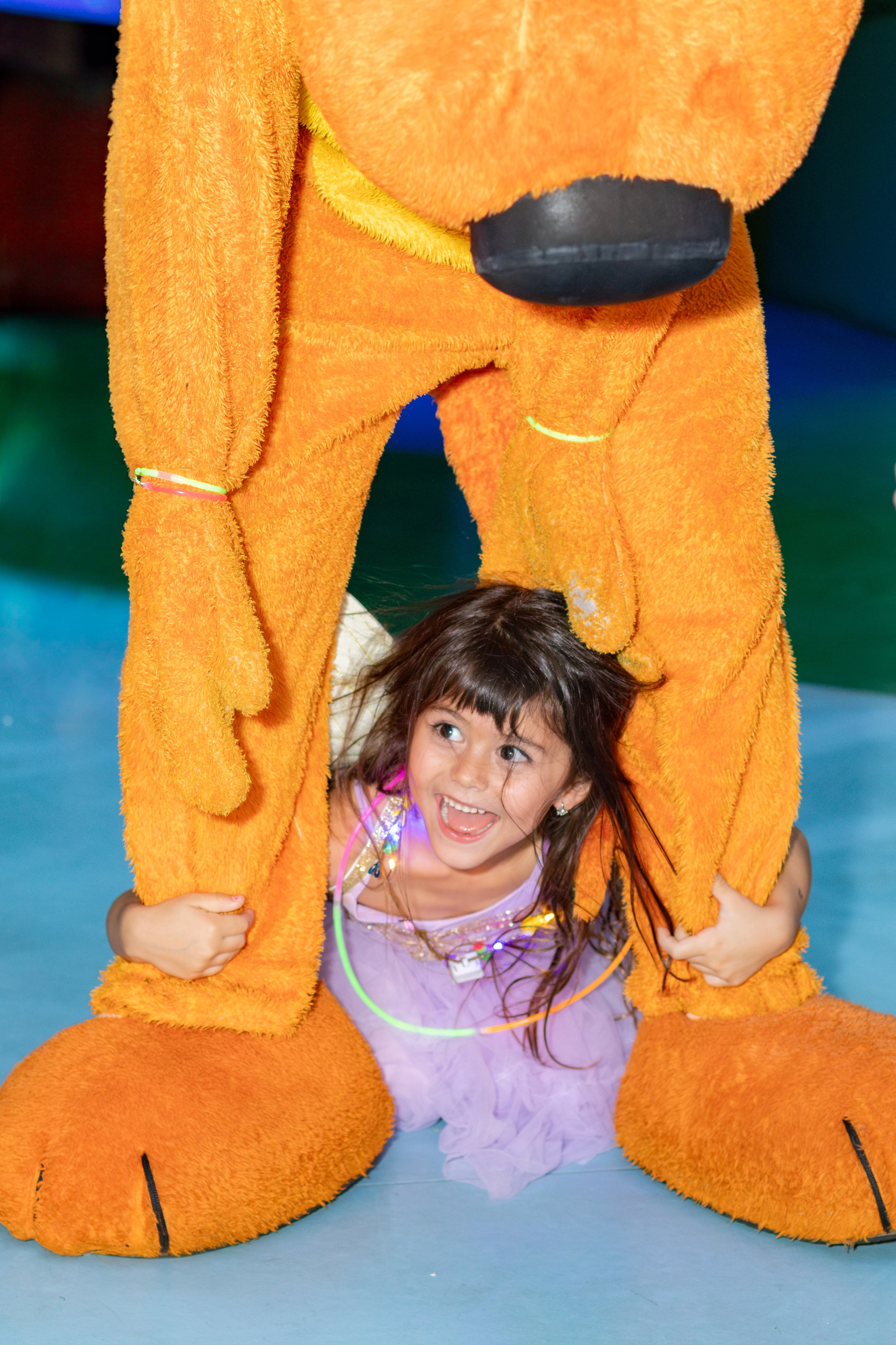 Stella — Aniversário 6 anos. Principal