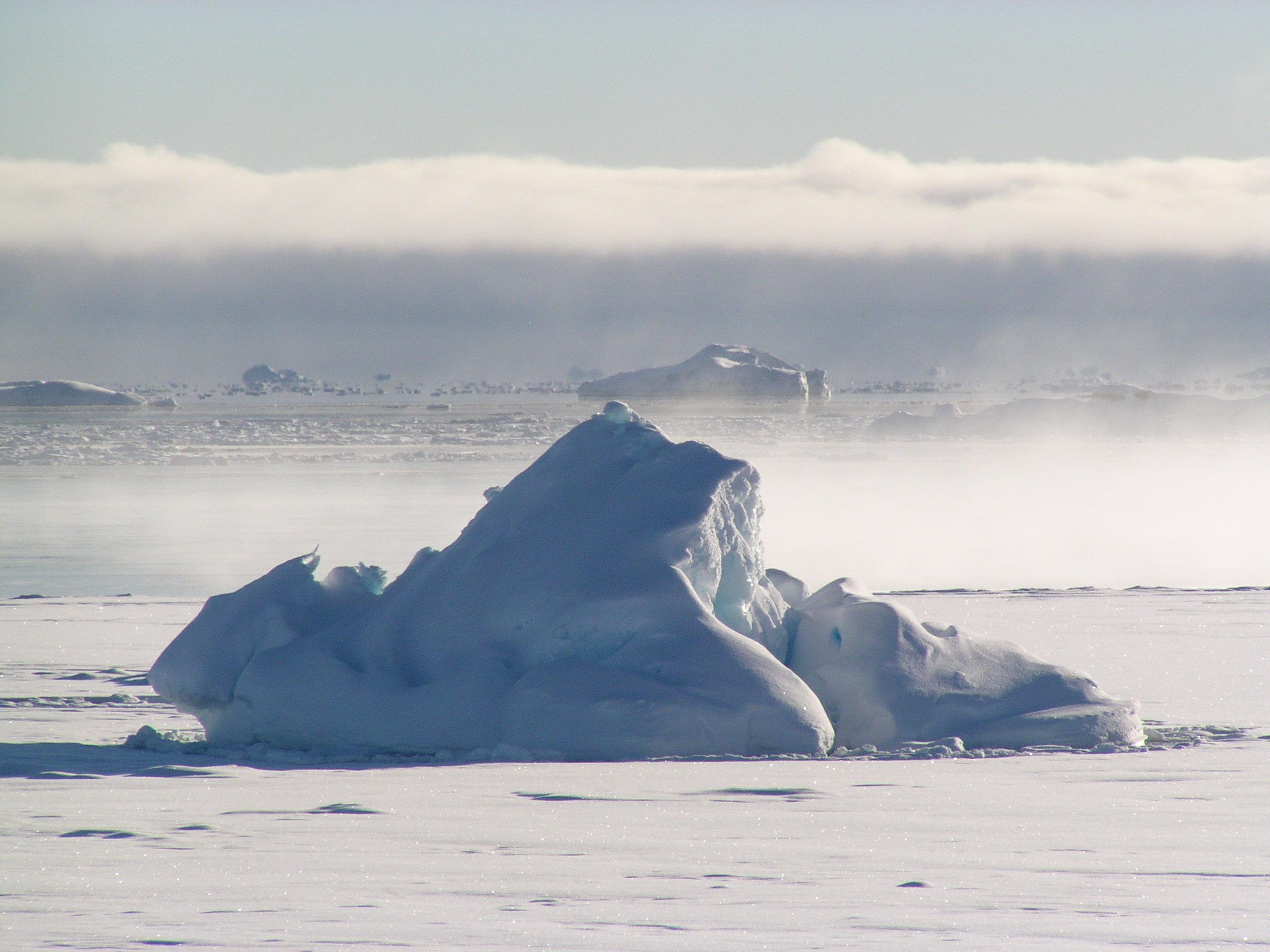 ANTARCTICA. Reportage concert portrait photography in the San Francisco Bay Area