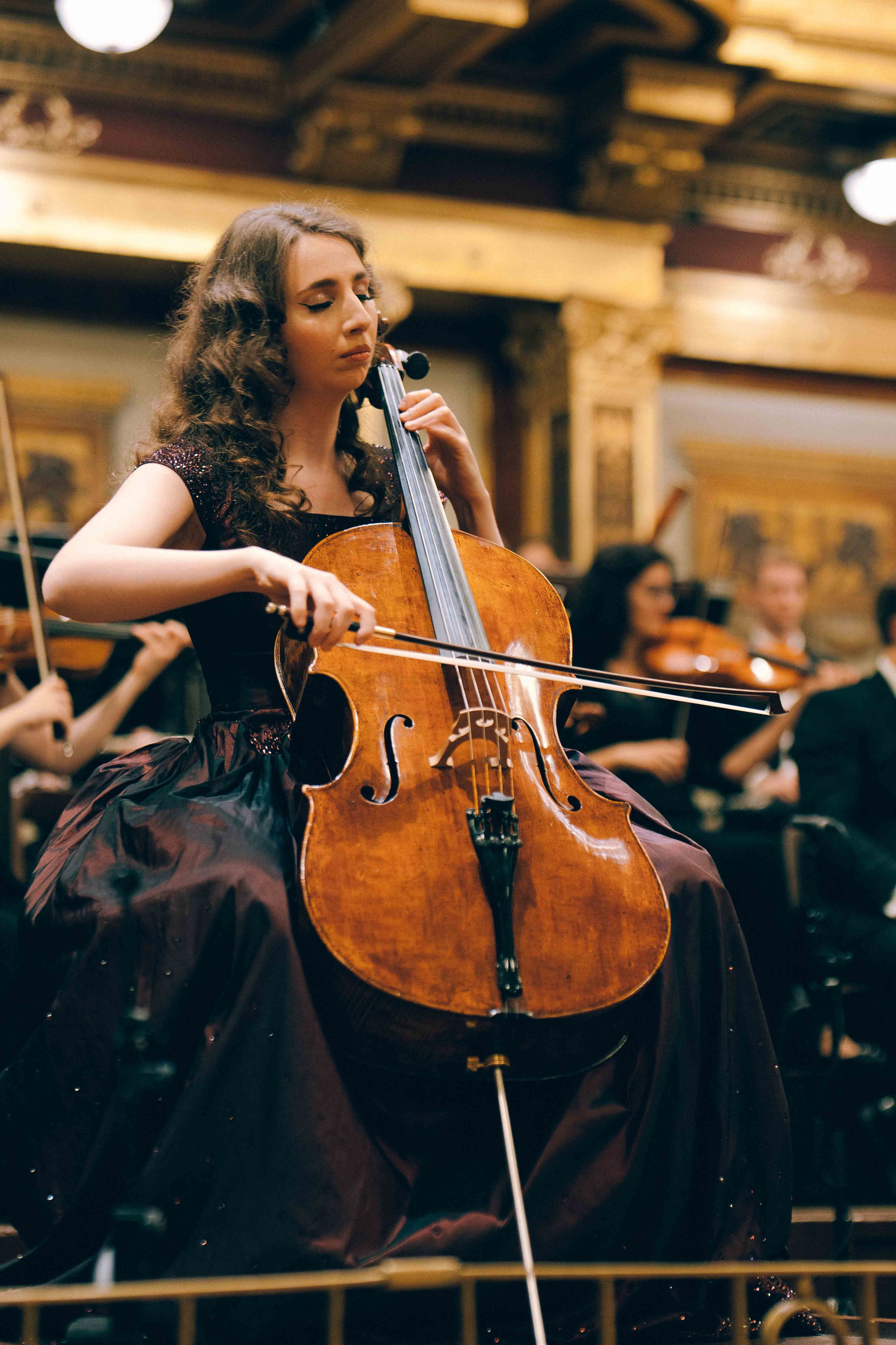 MUSIKVEREIN (VIENNA). Wedding&Event photographer Ismail Rzayev in Baku
