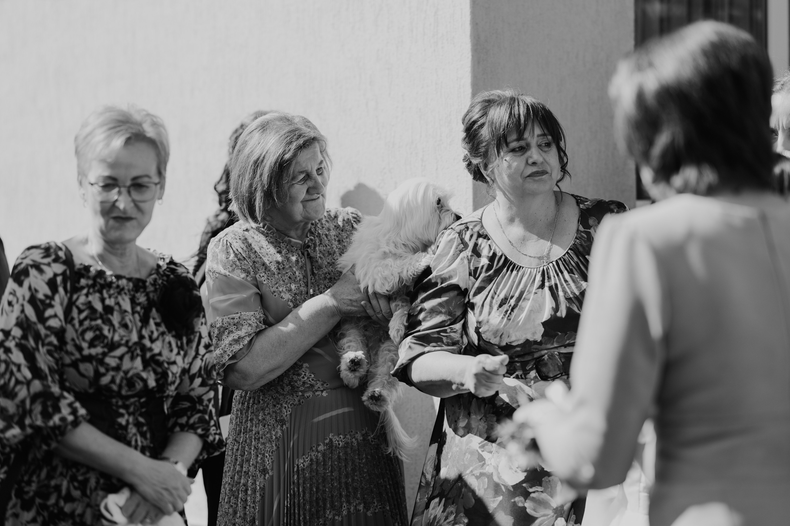 Iustin & Fabiana. Main