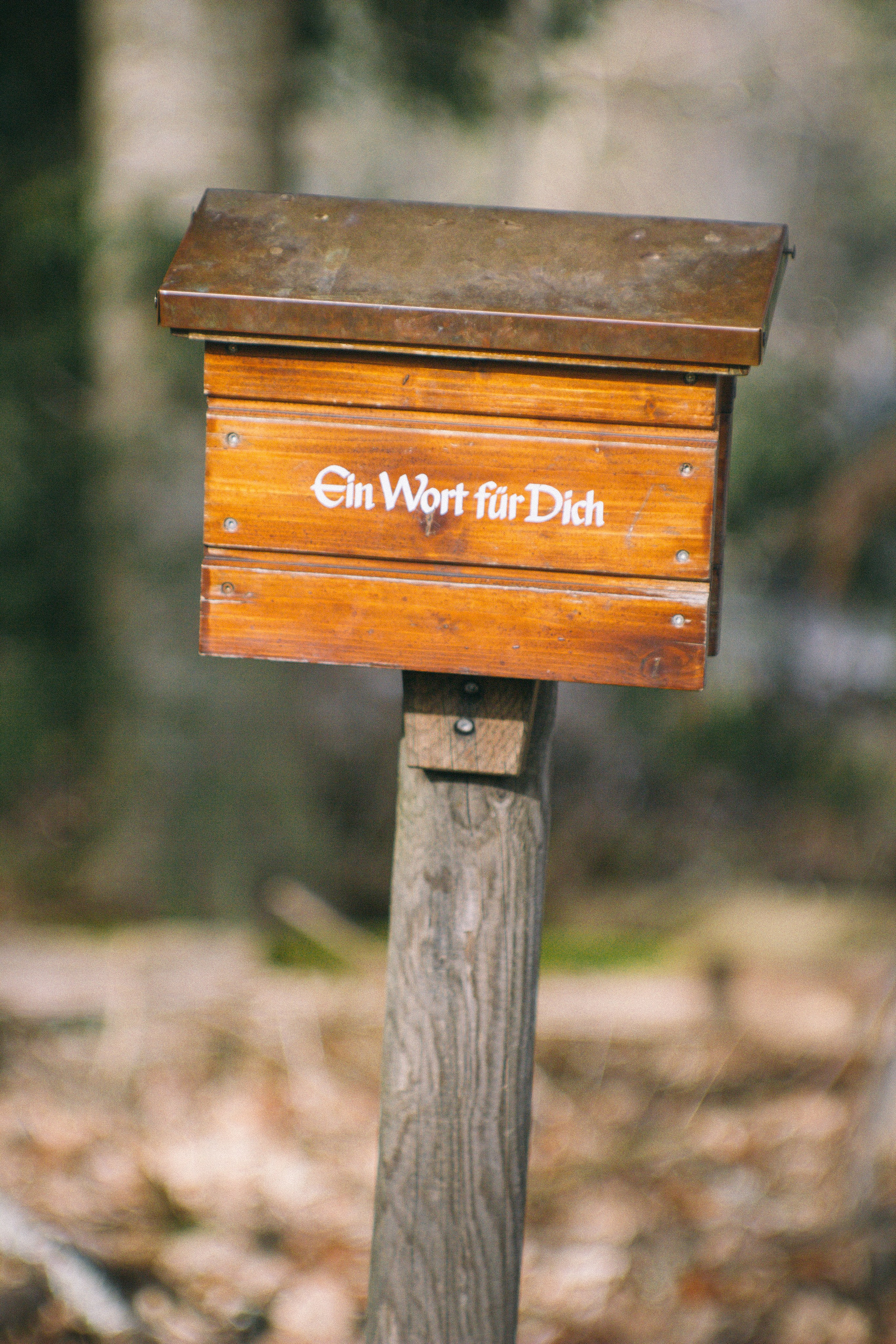 Baumwipfelpfad in Bad Wildbad. Maria Chistyakovа — Fotografin in Karlsruhe, Baden-Baden und Umgebung