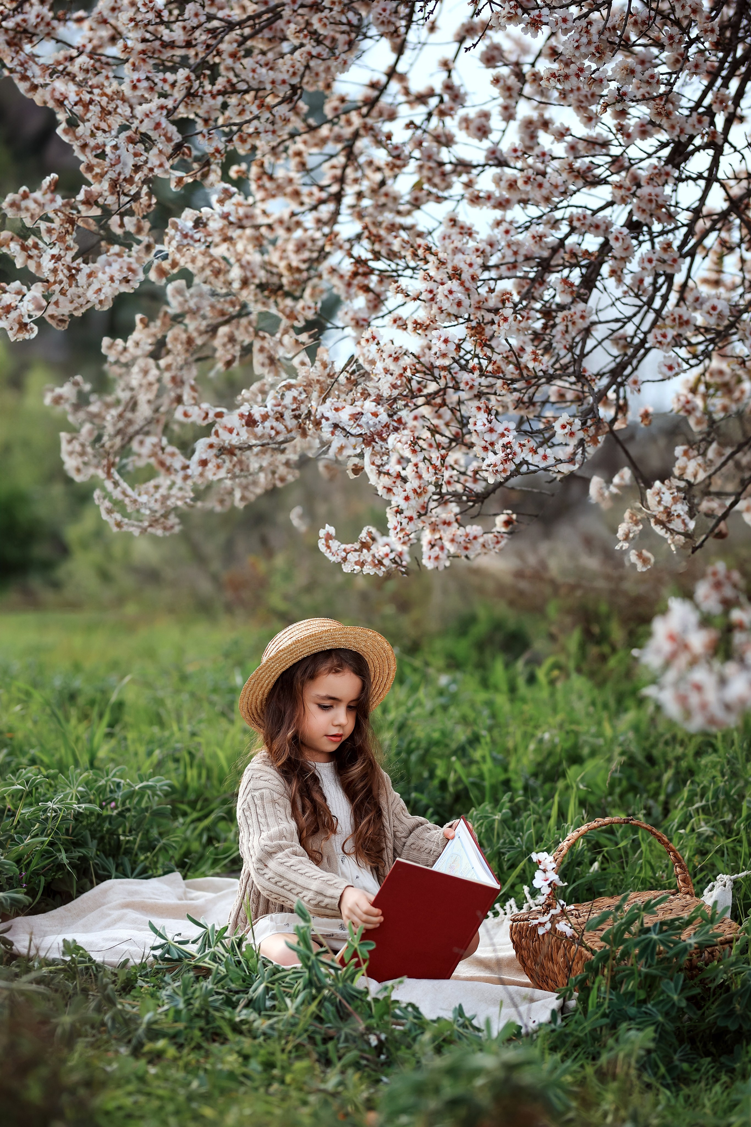 Фотосессия в цветущем миндале. Фотограф в Турции, Анталии, Кемере, Белеке, Сиде, Каше, Калкане, Фетхие