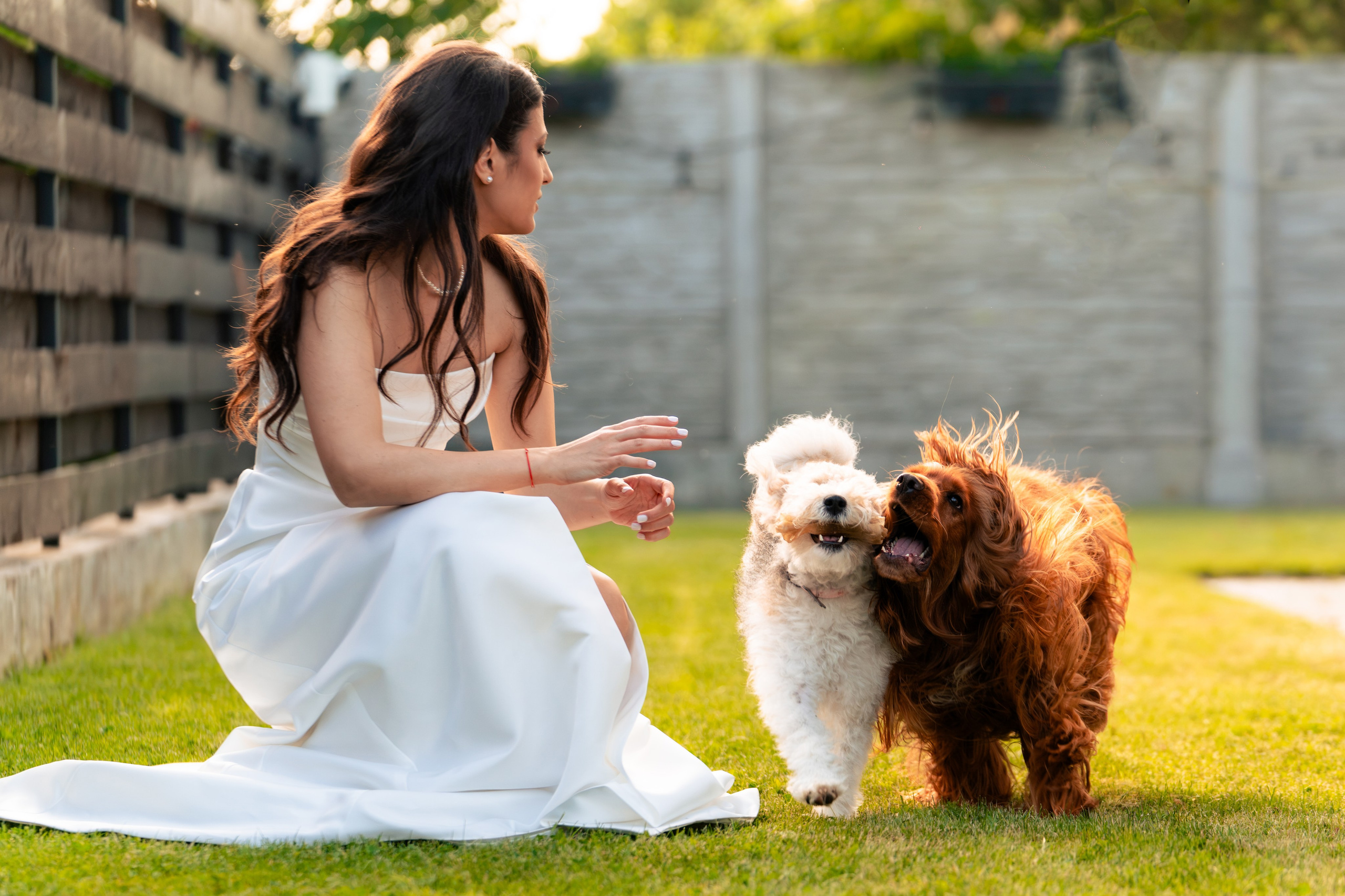 Iustina & Theodor. Fotograf nunta si evenimente Giurgiu