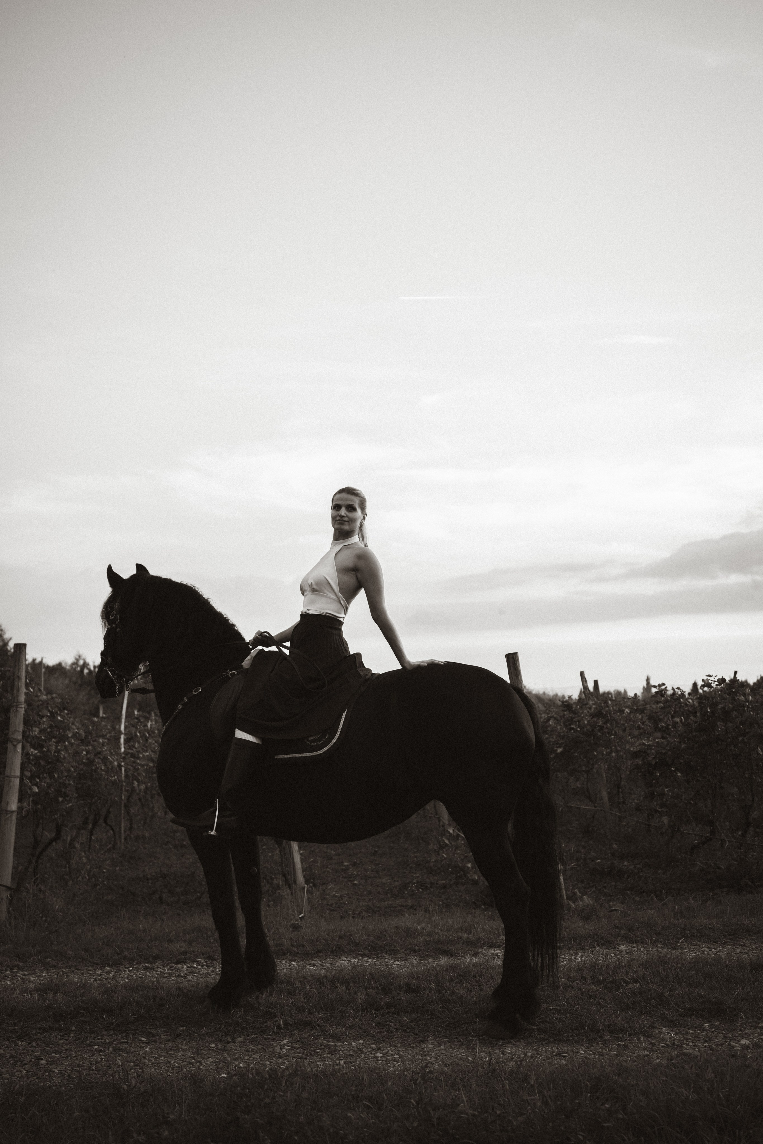 Horse photoshoot | Elena. Главная