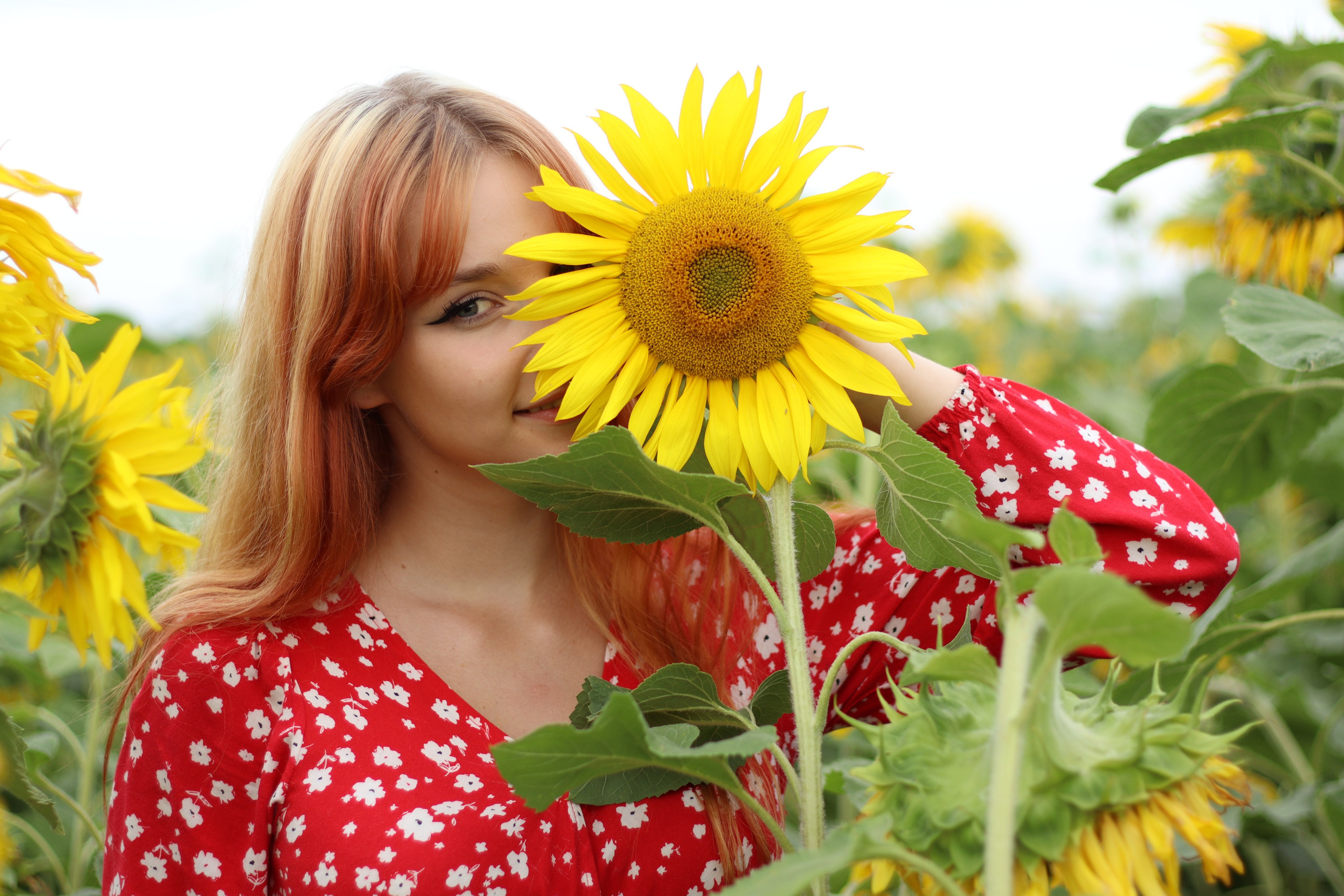 Фотосессия в подсолнухах. Фотограф / Даугавпилс / Ольга Антонова