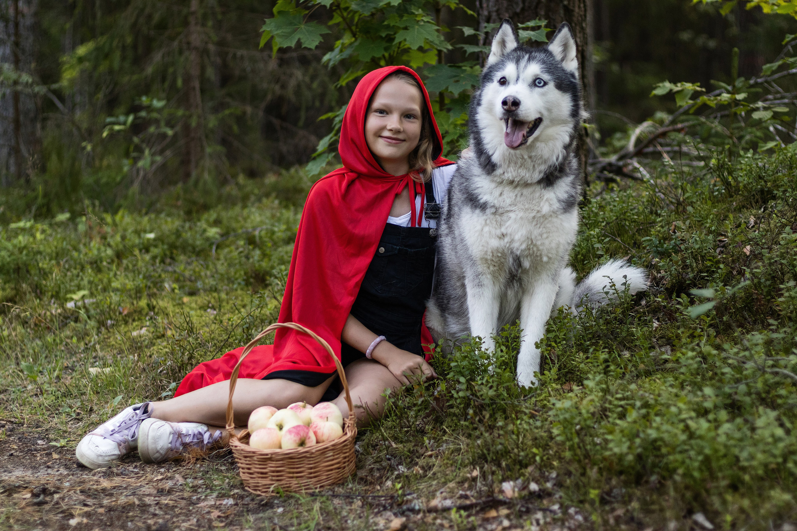 Девочка- красная шапочка с хаски в лесу