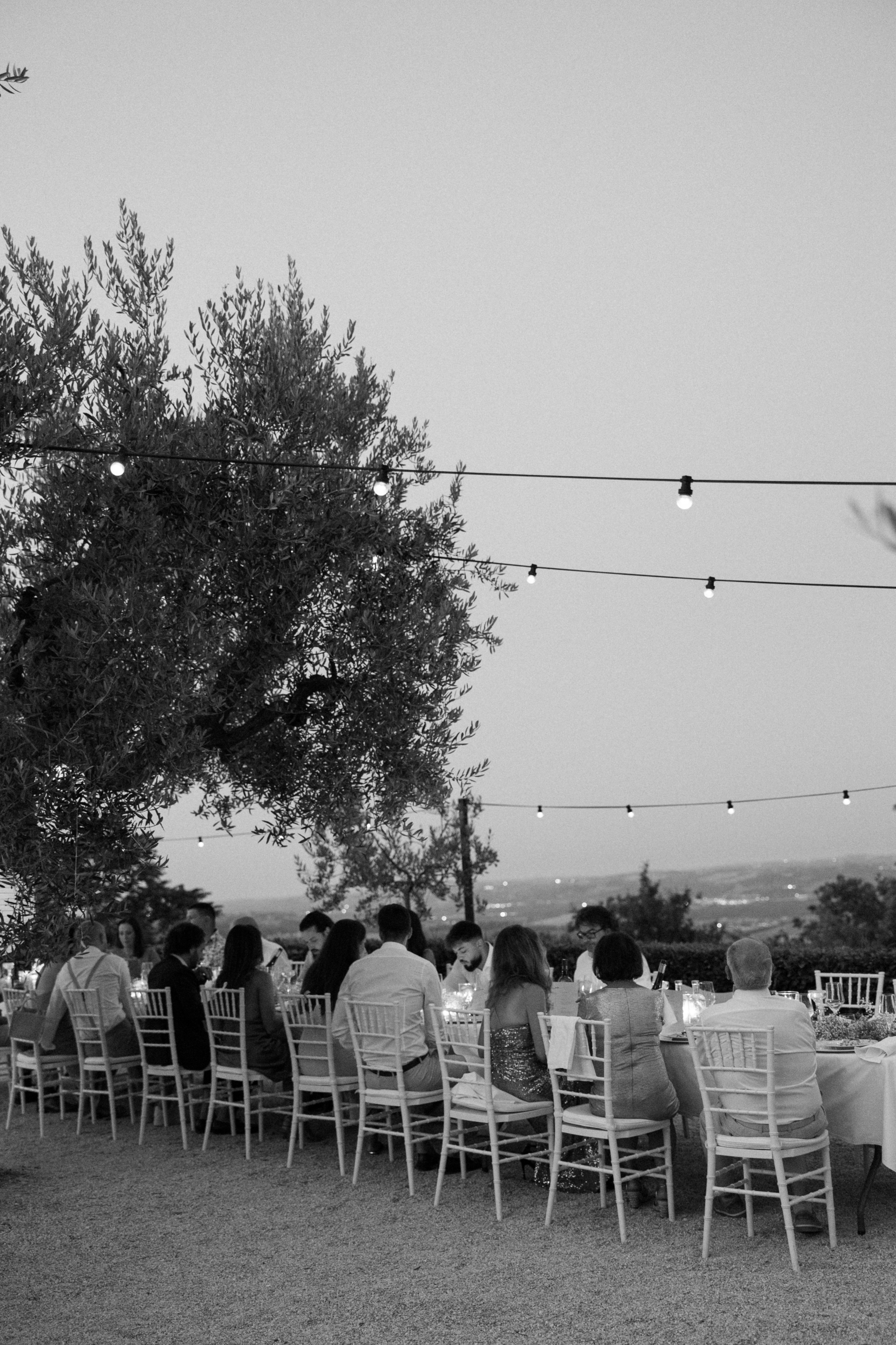 Sofia&Falk. Весільний фотограф Вікторія Саврук