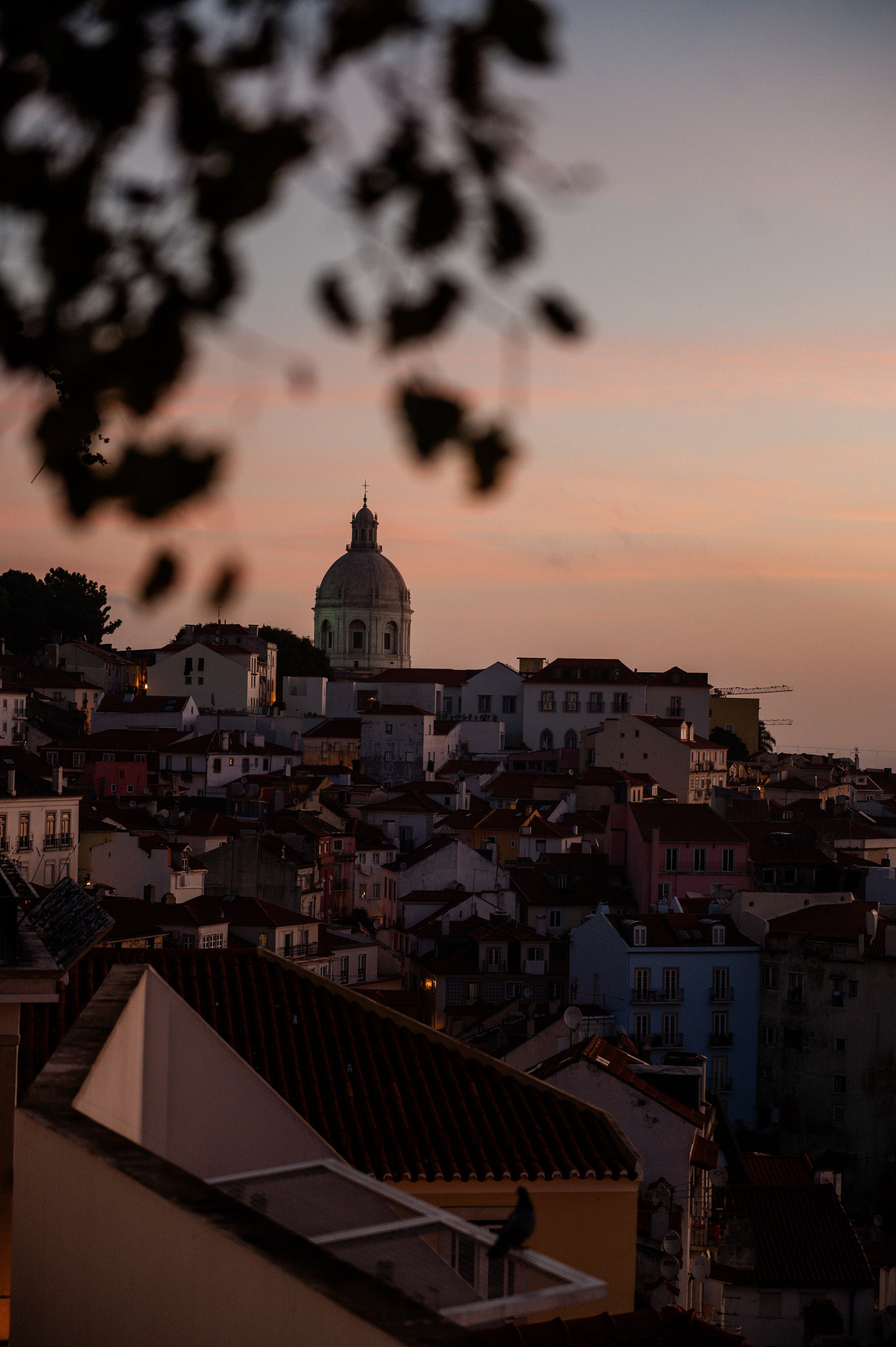 Little Lisbon. Your photographer in Lisbon — Anna Belova