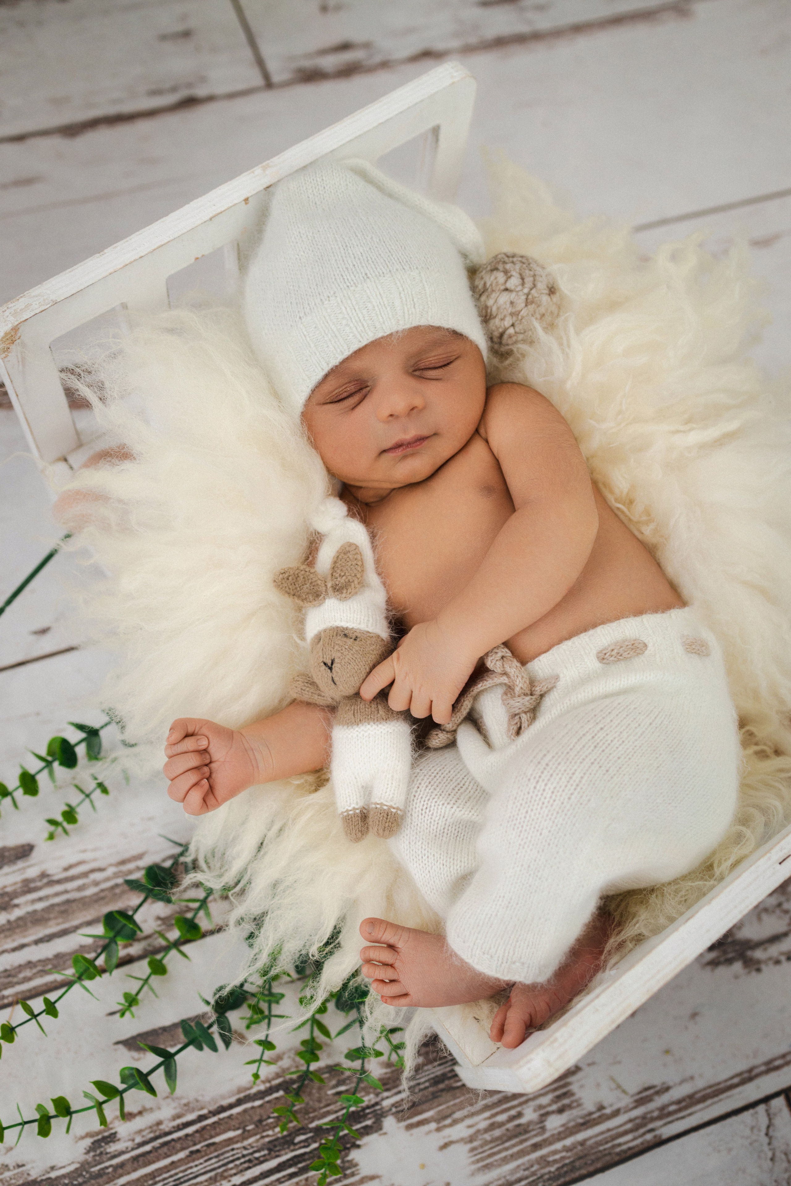 Newborn. Anaeliseevaphoto.com