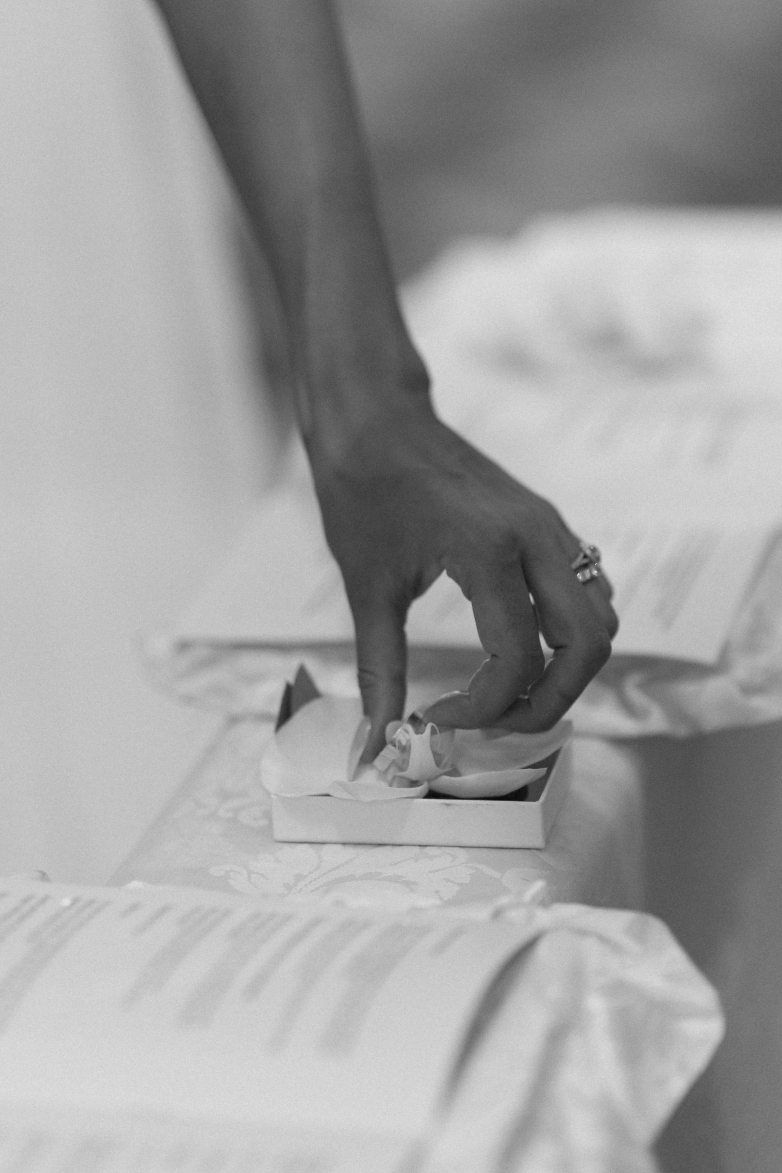 Sofia&Falk. Весільний фотограф Вікторія Саврук