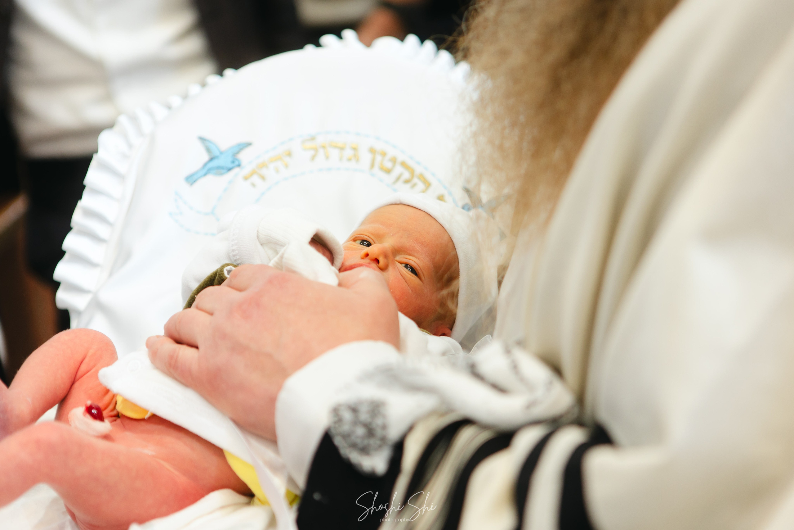 BRIT TWINS. Https://shi-photo.com/