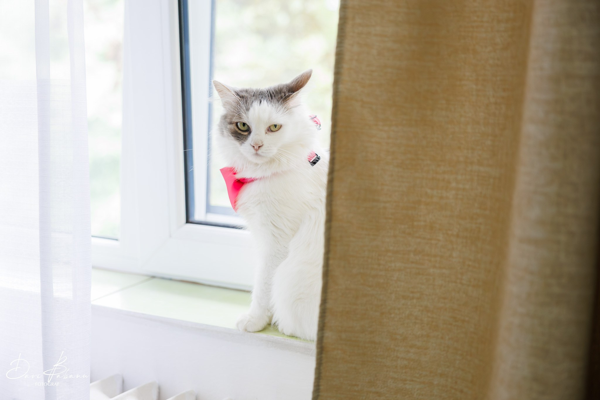 Andra & Mihai - Wedding Day