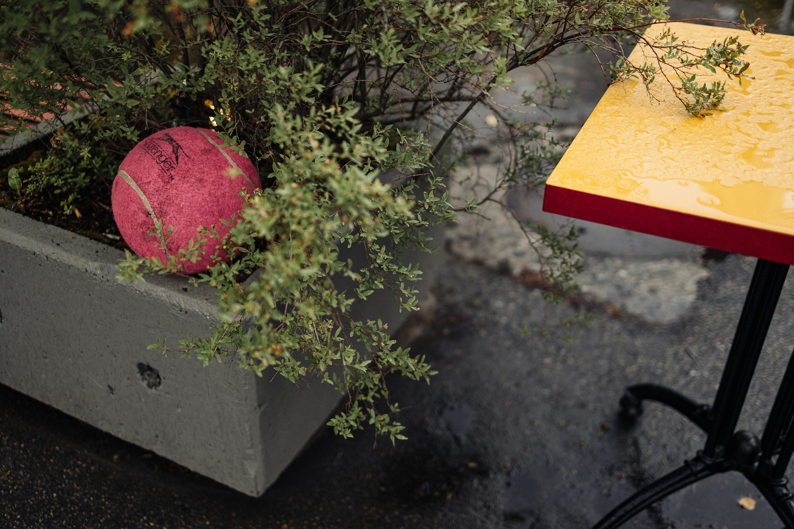 Street Photography. Portree- ja perefotograaf Anton Hansen Tallinnas, Eestis