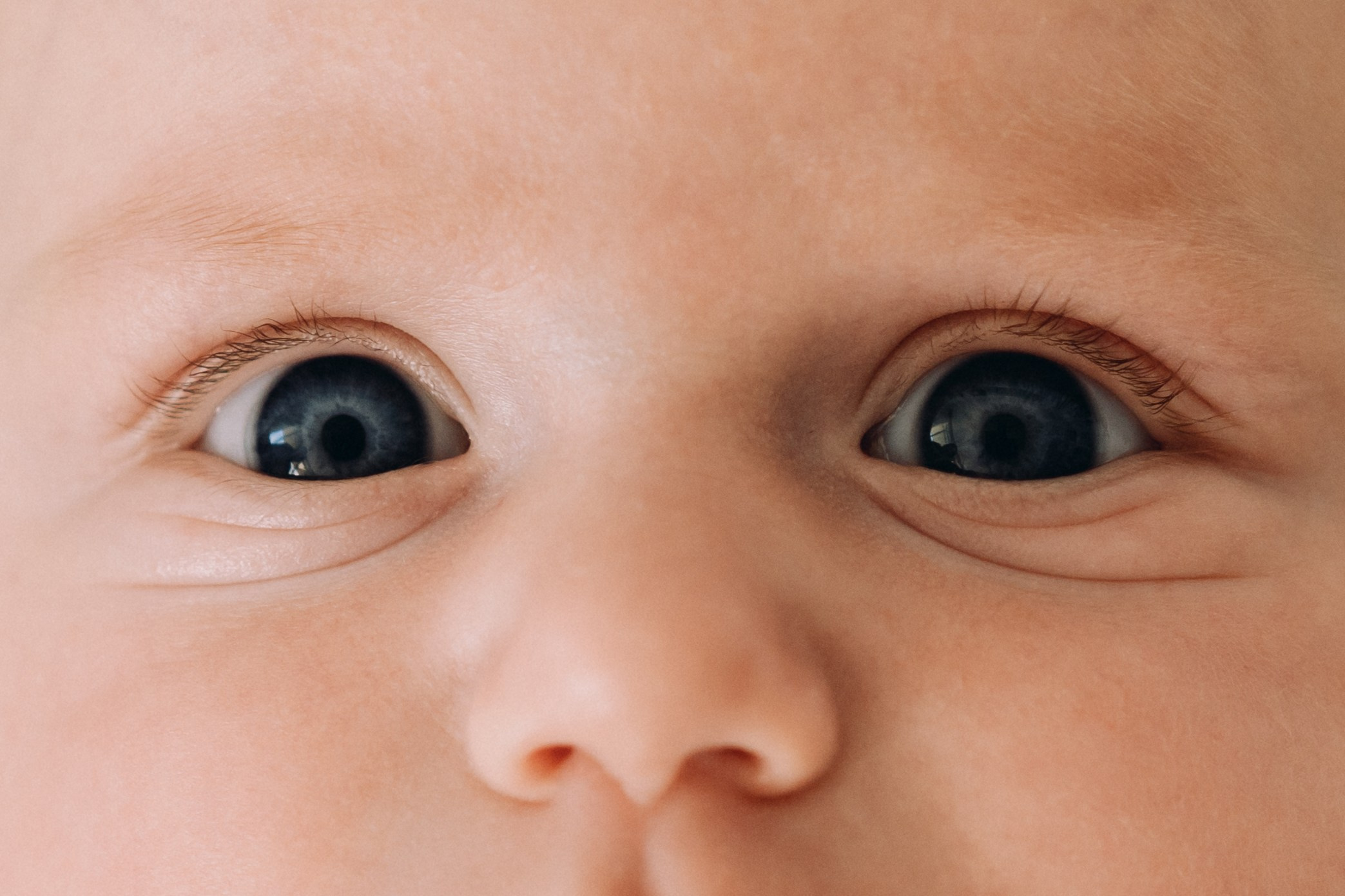 Newborn Twins. Elena Pretzner Photography