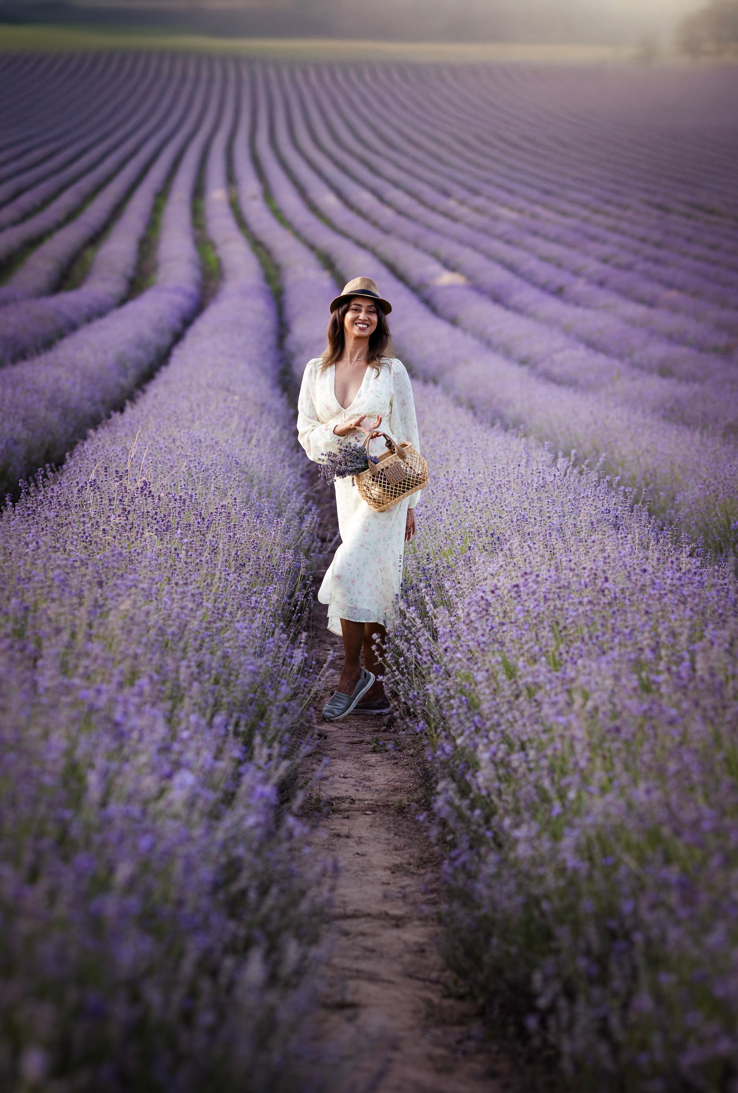Lavendel. Photographer in Munich