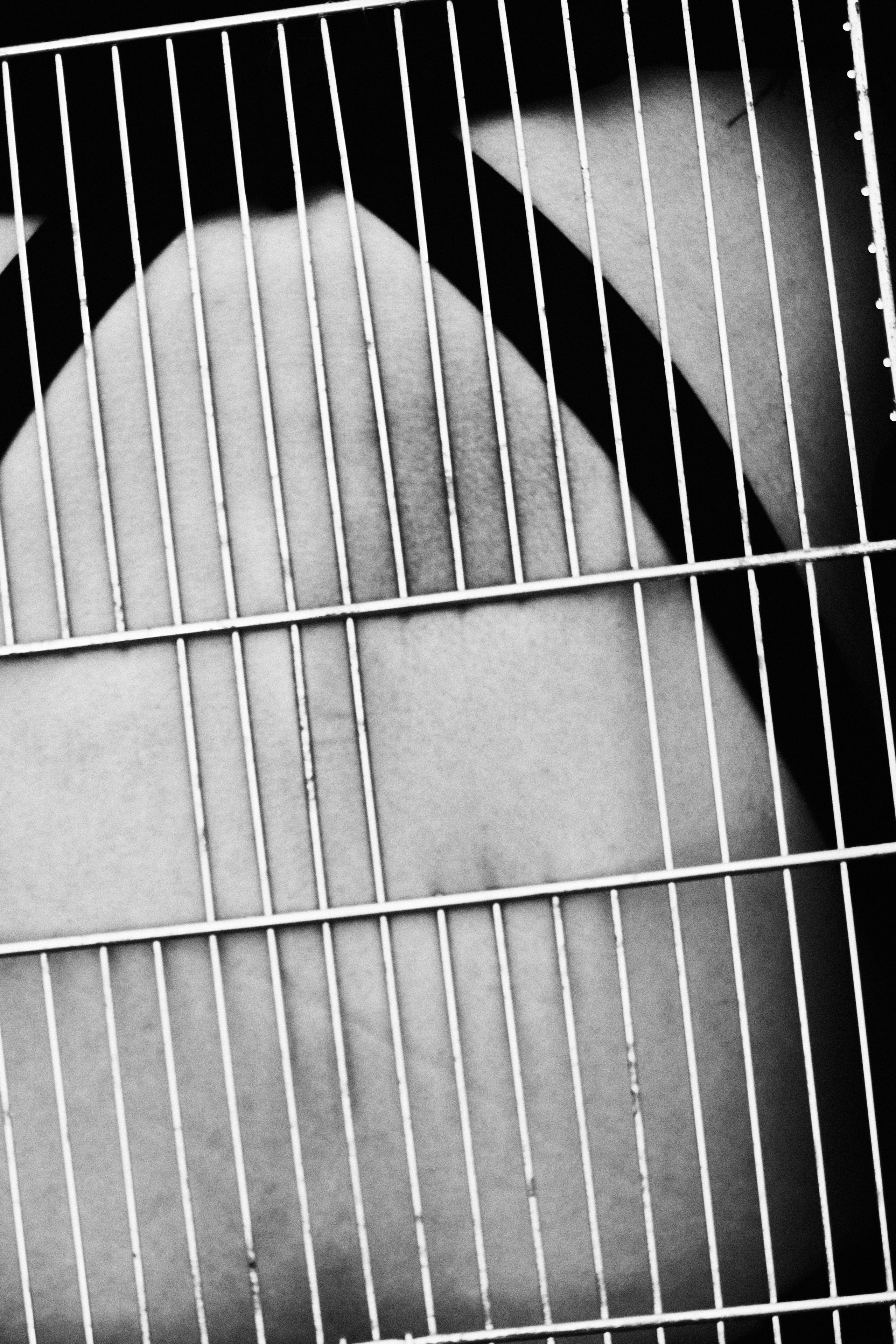 UNCAGED. Kristina Chimbaraite — Conceptual Portrait Photographer in Europe