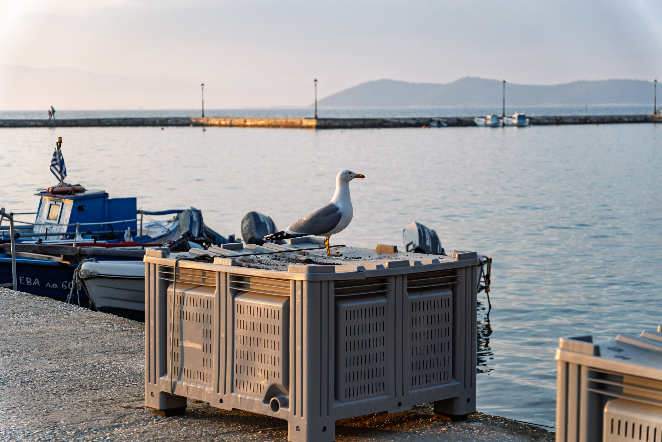 Thasos 2025. Fotografiideplacere.net