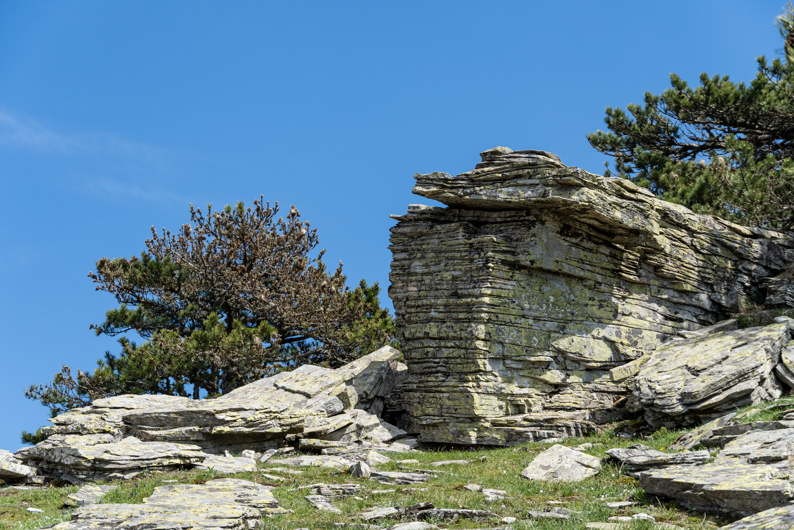 Thasos 2025. Fotografiideplacere.net