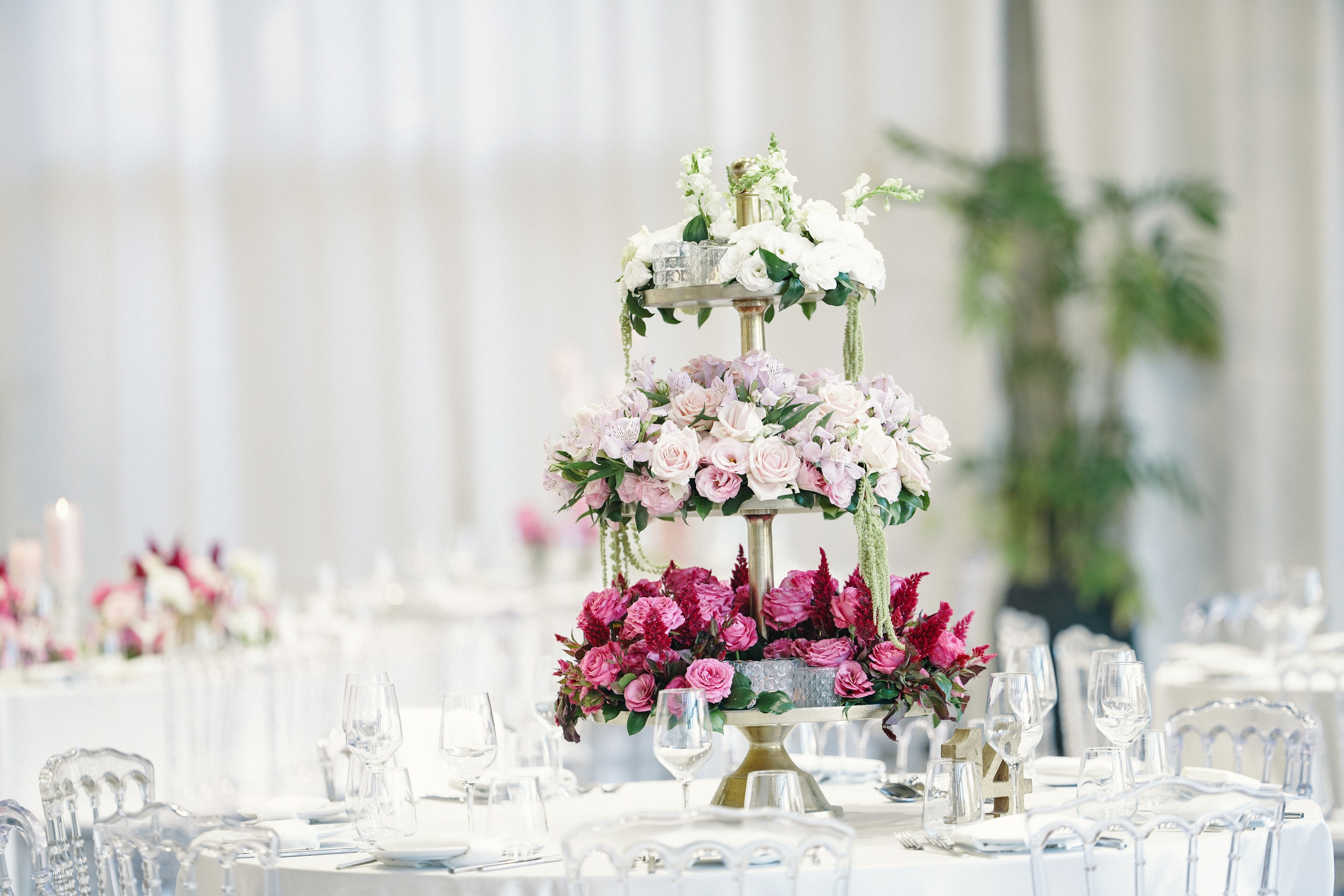 Dmitry Gorodetsky Event Photographer