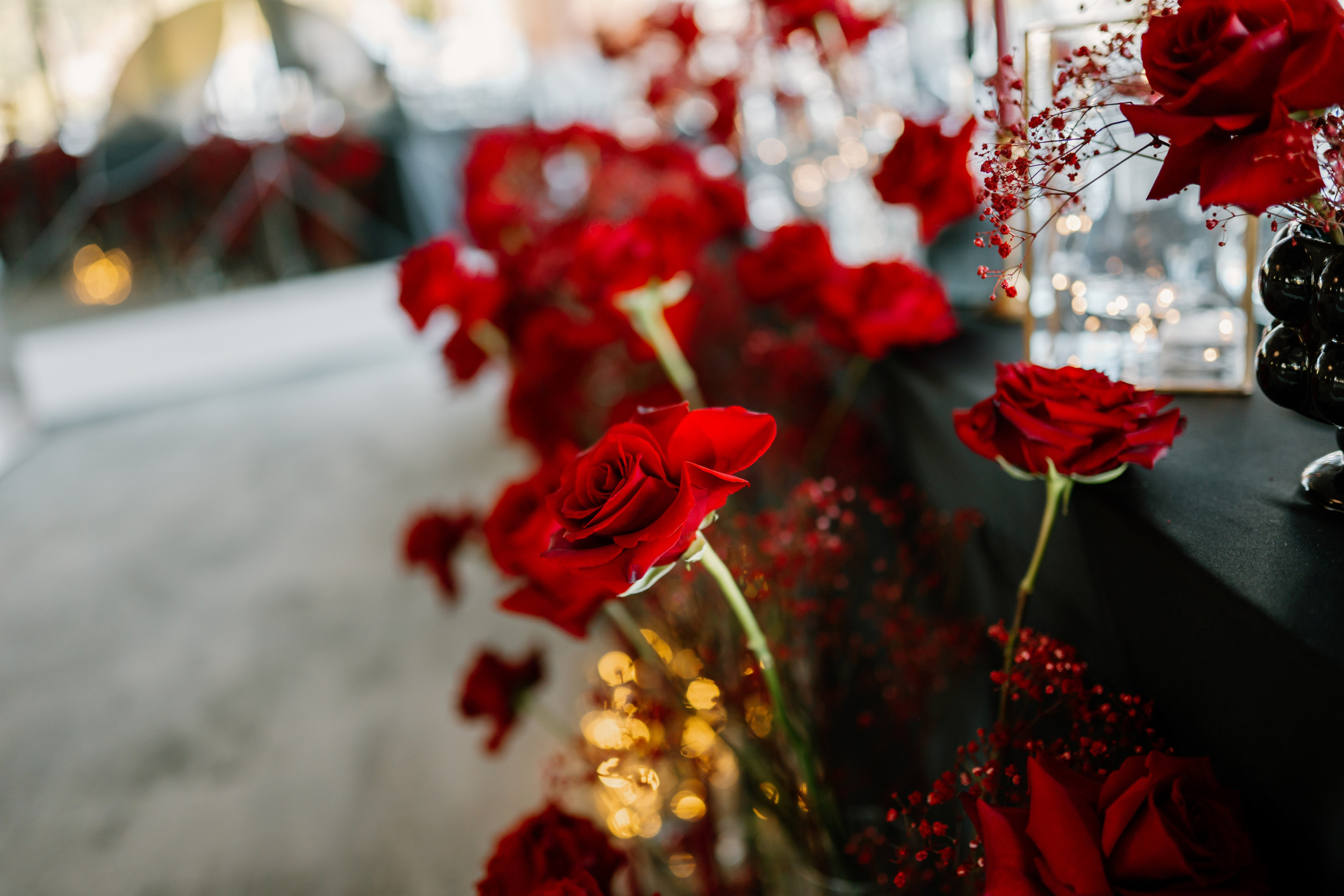 Andreea | Ionut. Gabrielacojocariu.com