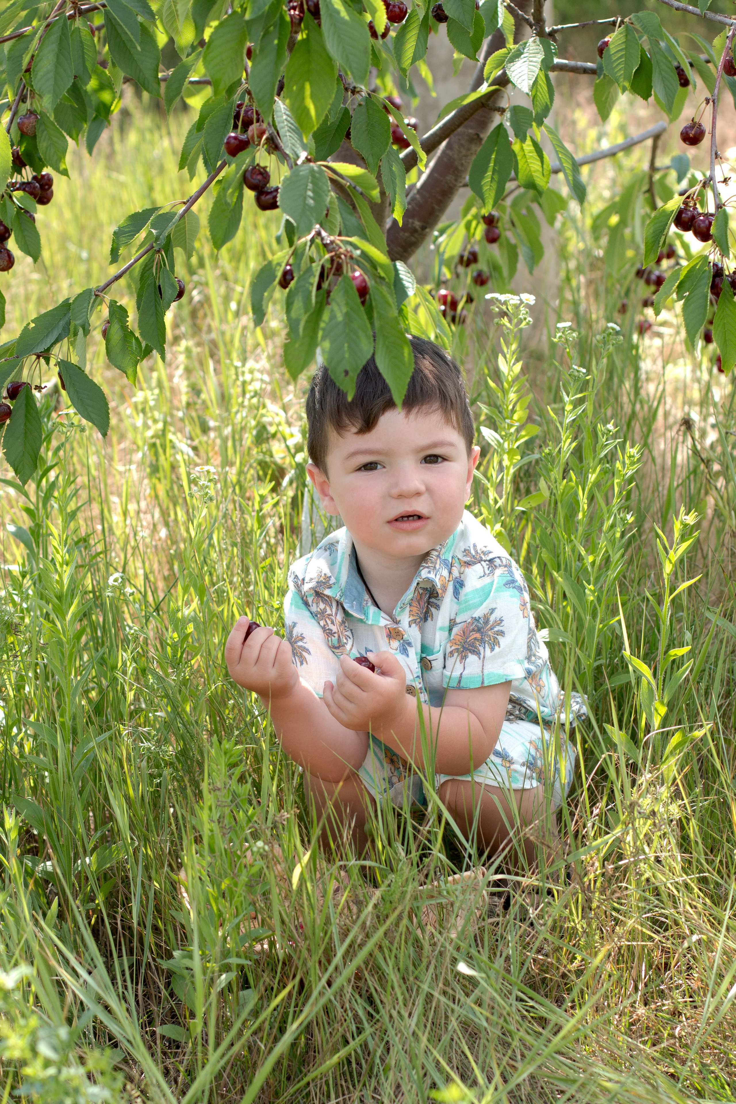 Черешня. Детский и семейный фотограф в г. Бельцы