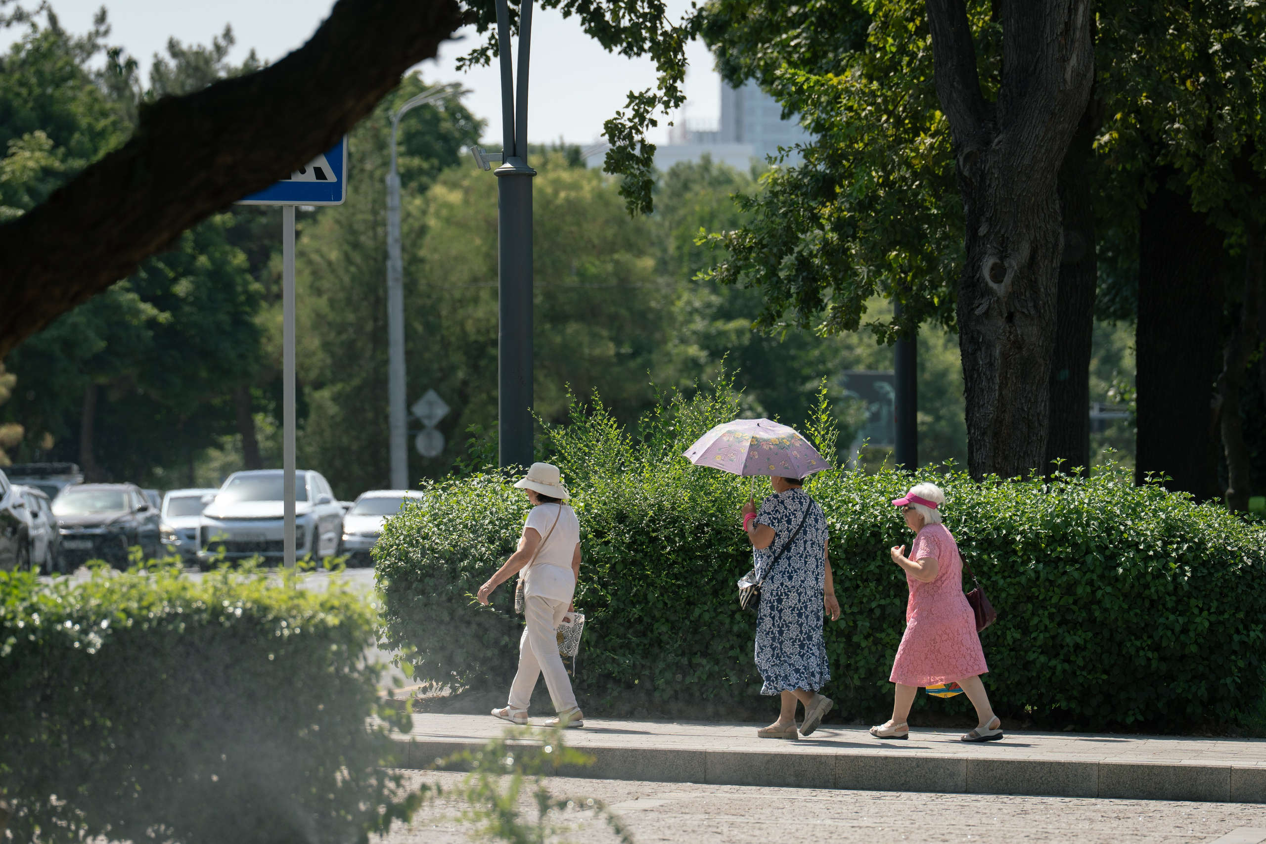 Жара