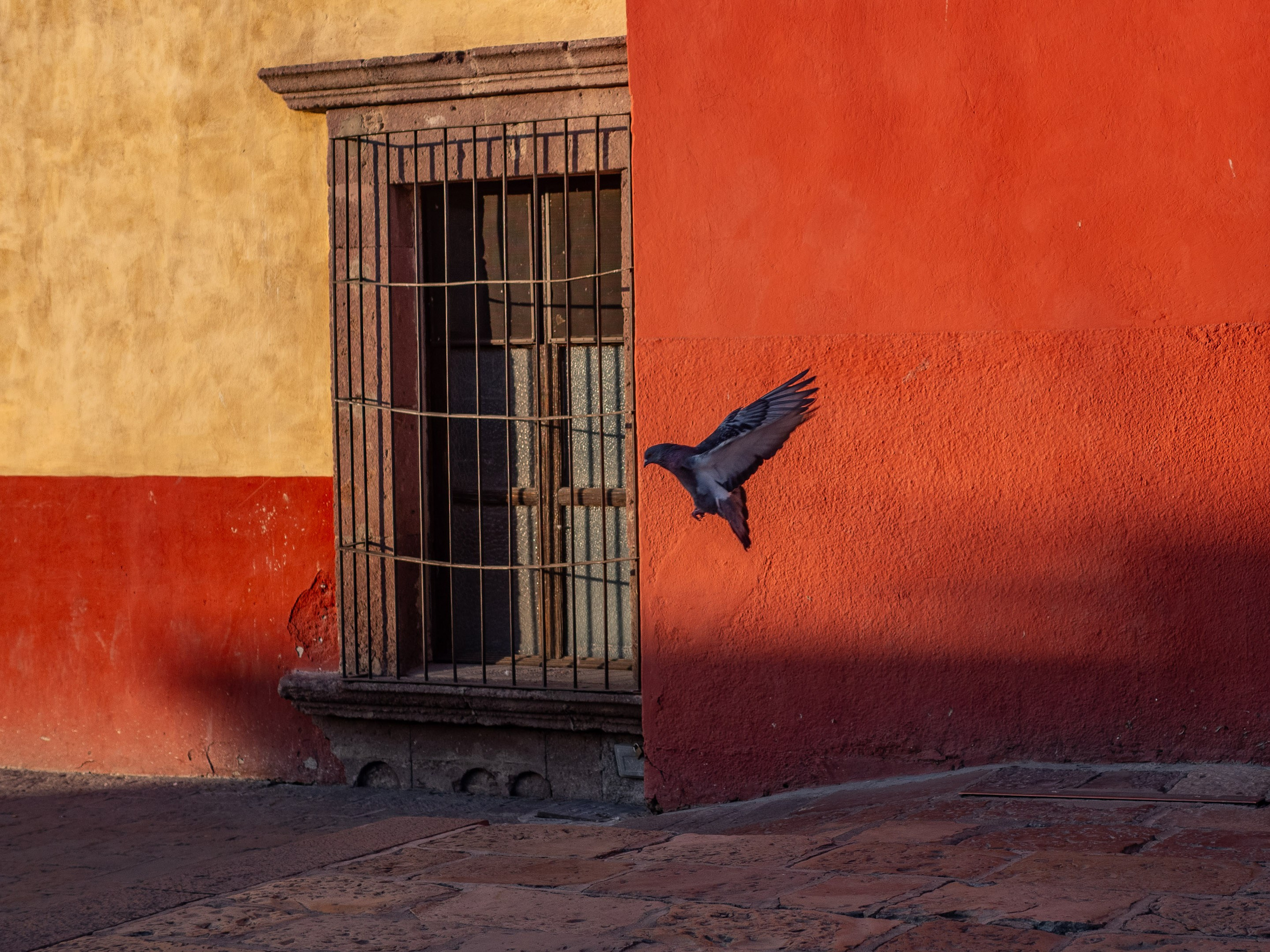 San Miguel de Allende, Mexico. Federico Borobio, street and documentary photography.