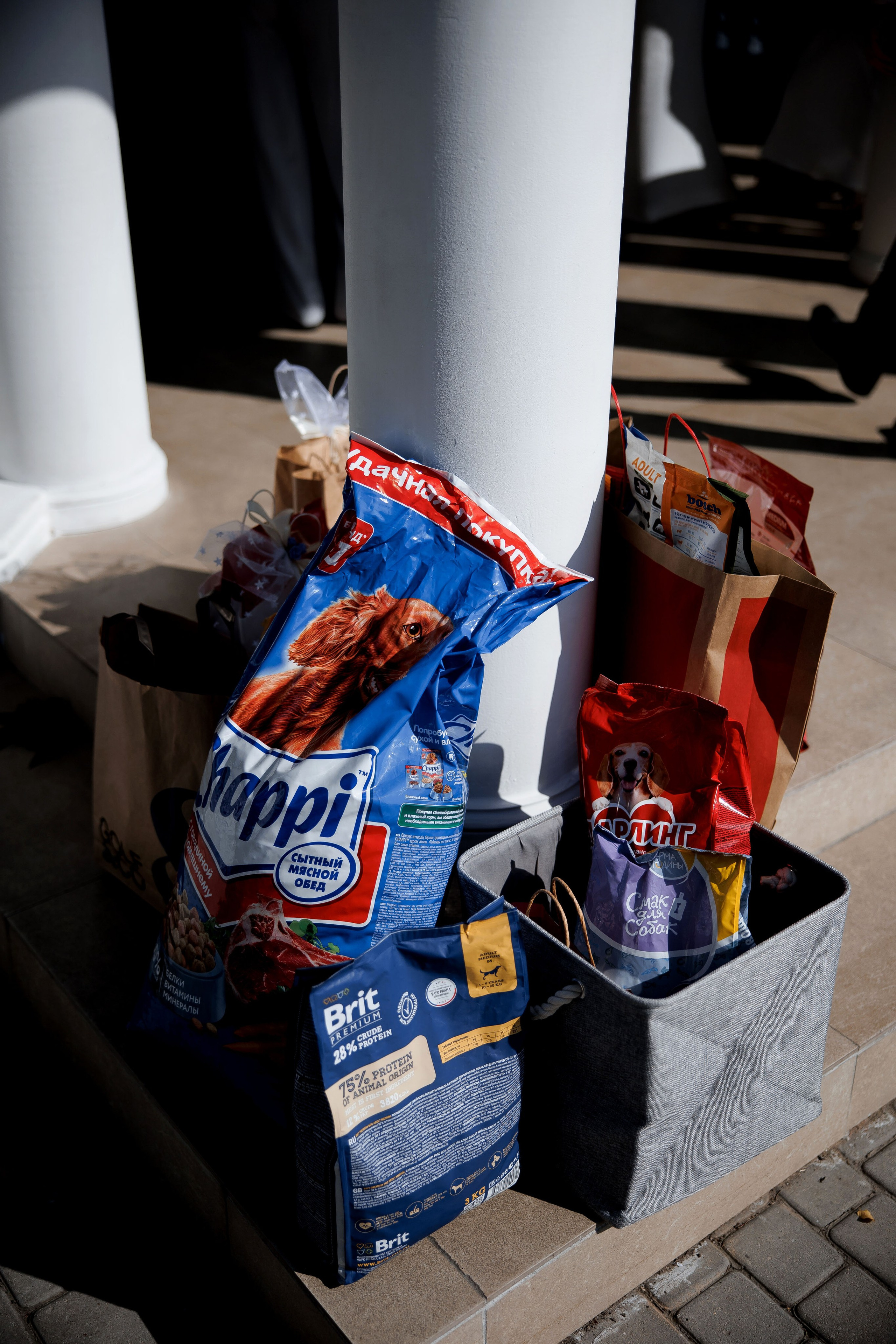 Y+M. Свадебный фотограф Каледич Тимофей