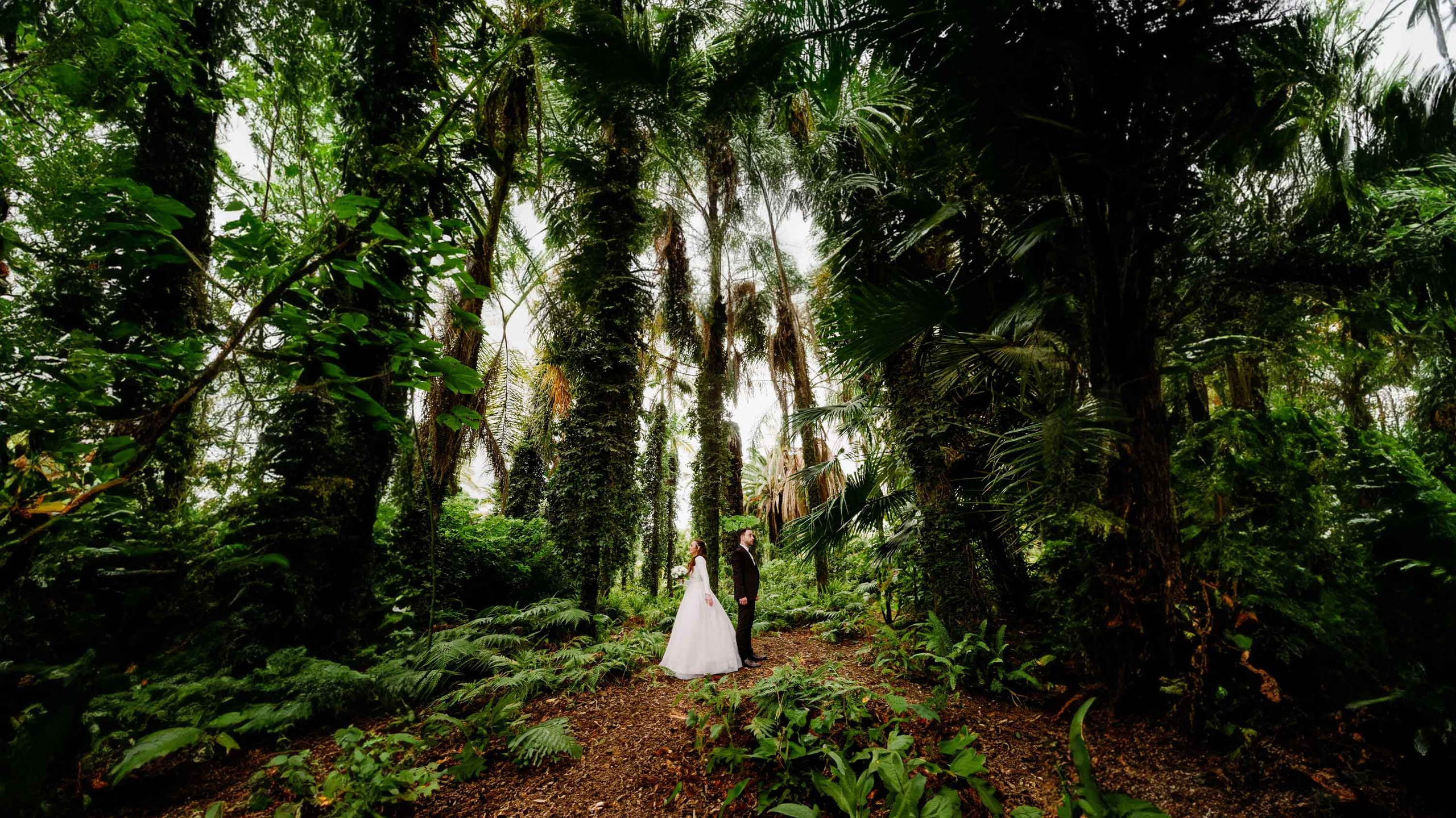 ‏יעקב אלקין | ‏צילום ‏חתונות בירושלים