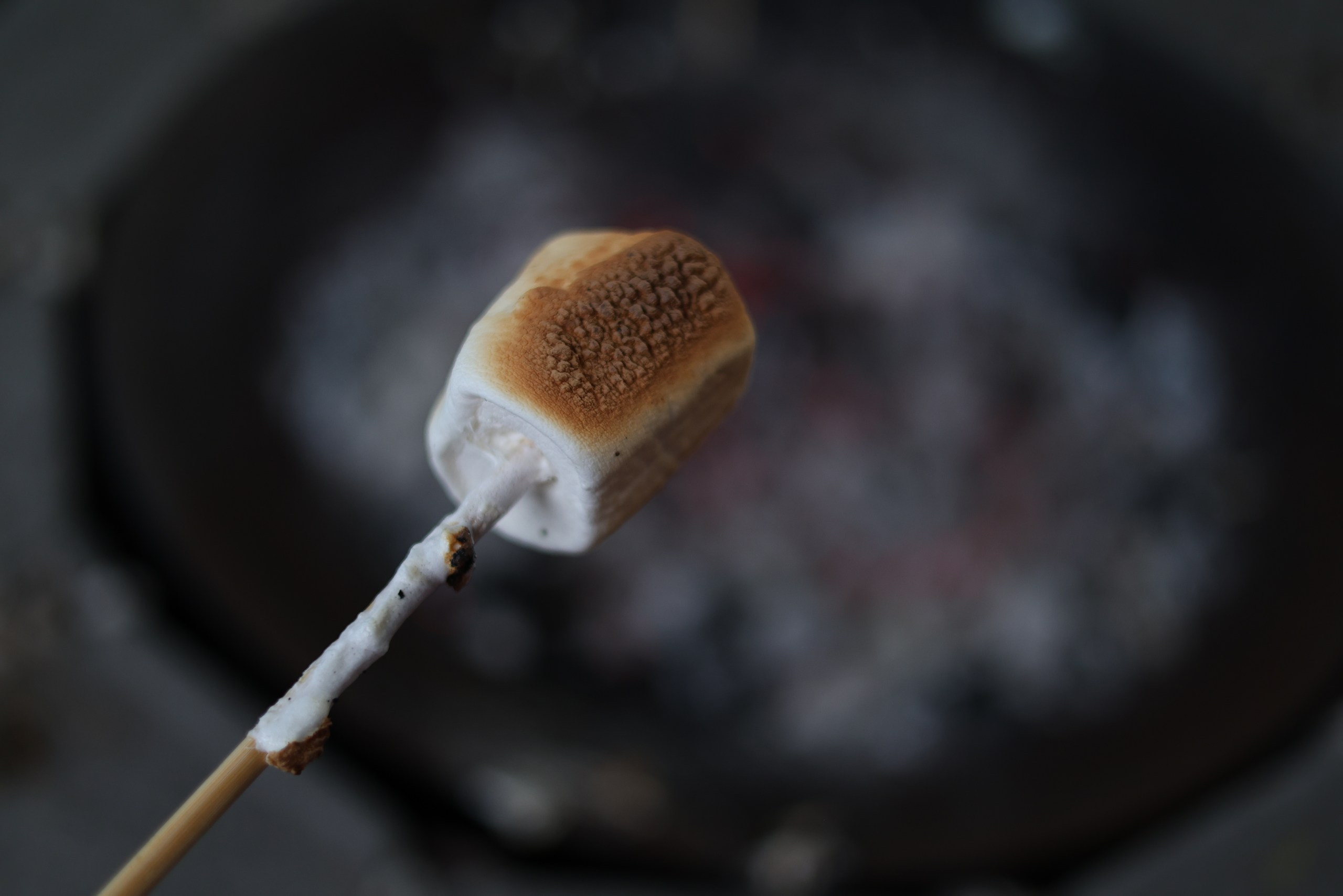 Events. ARTAMIND Photography. Portraits, Family Sessions, Events. Buffalo, NY