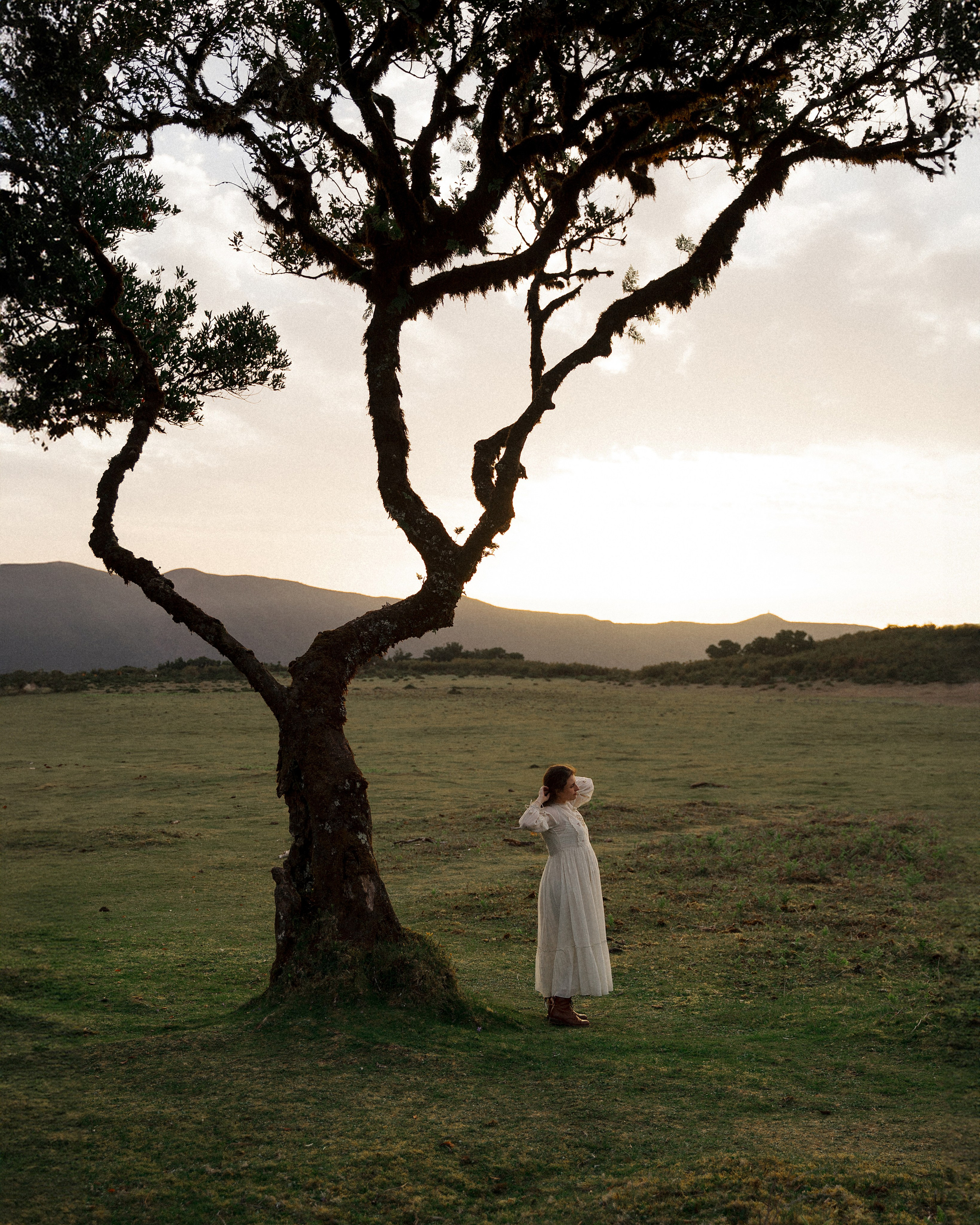 Maternity Photoshoot, Fanal Forest Sunset | Madeira Photographer. Your photographer in Madeira