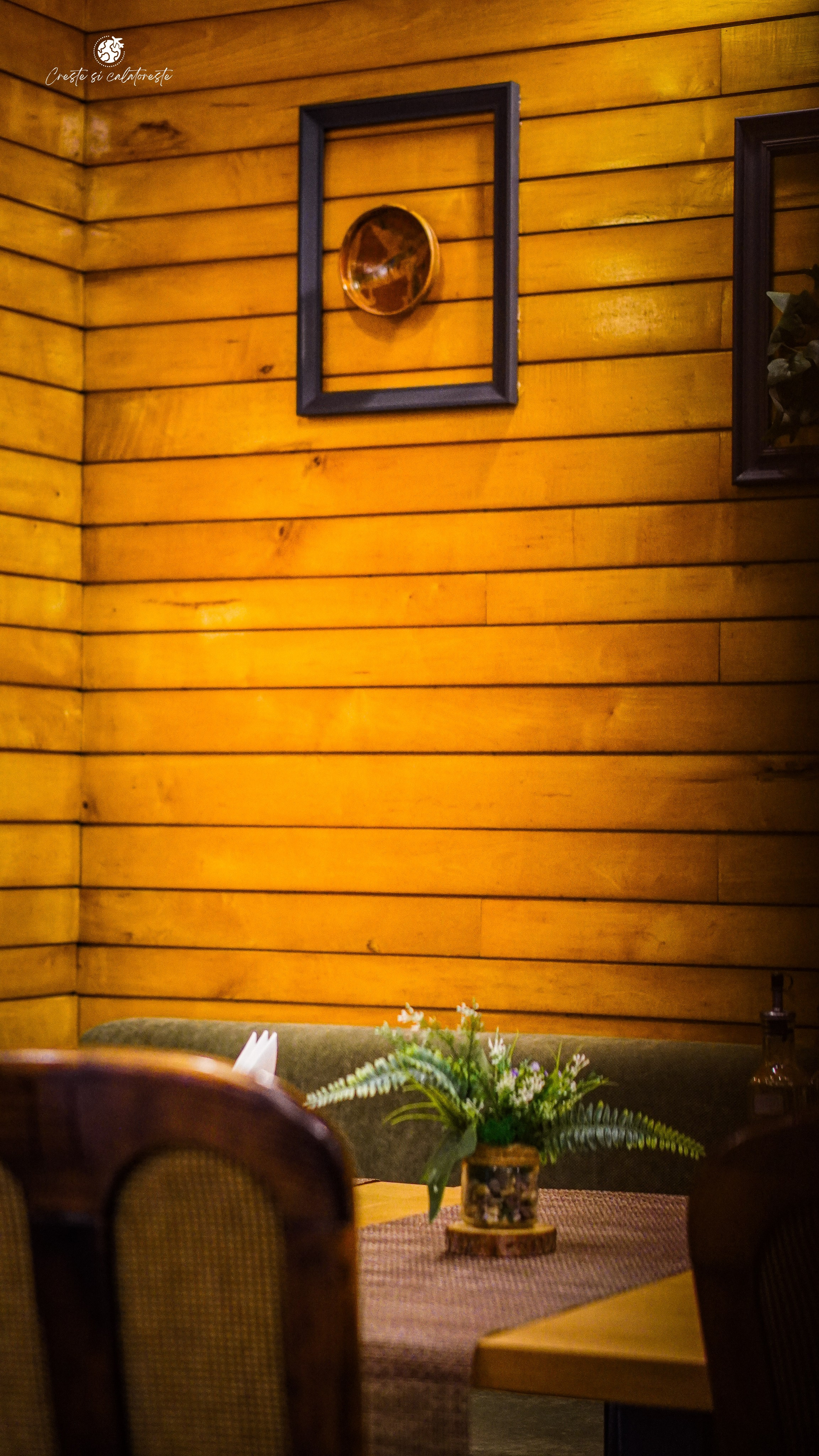 Bacolux Diana. Creste si calatoreste