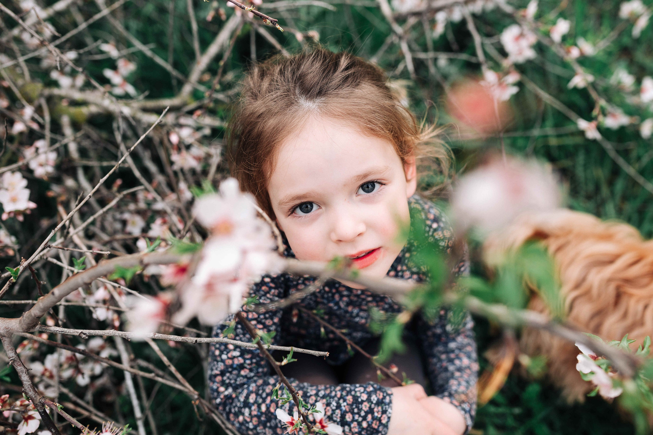 END OF WINTER. Https://shi-photo.com/