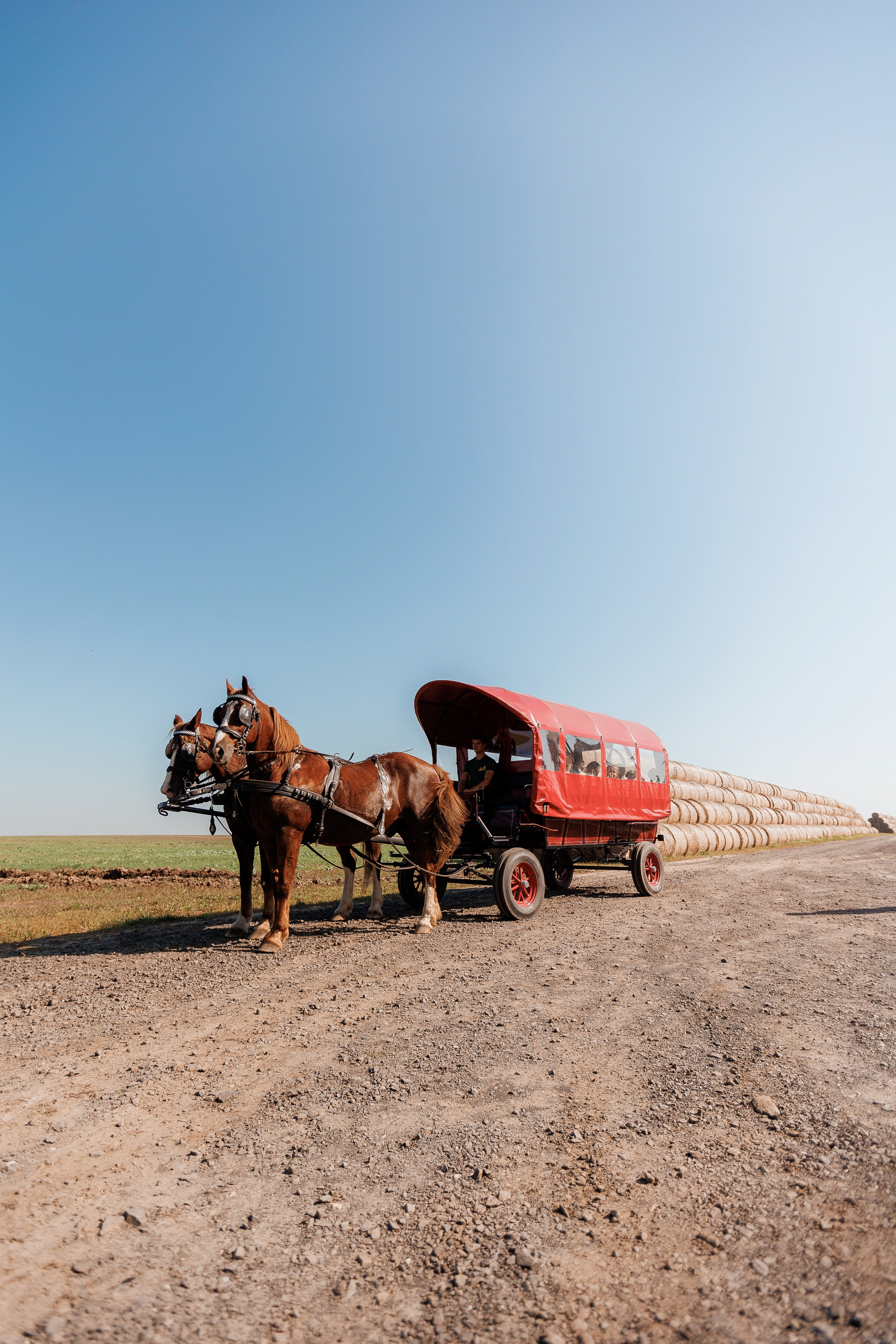 Екопарк Аміла. Ірина Терещук