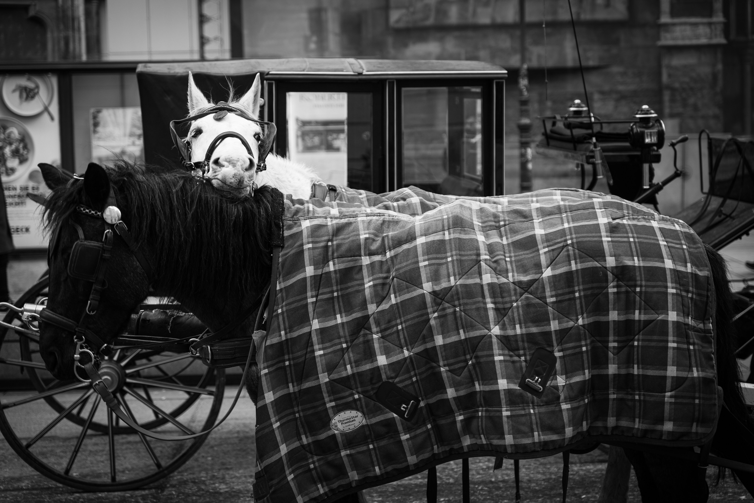 street photography Vienna monochrome architecture geometry light shadow