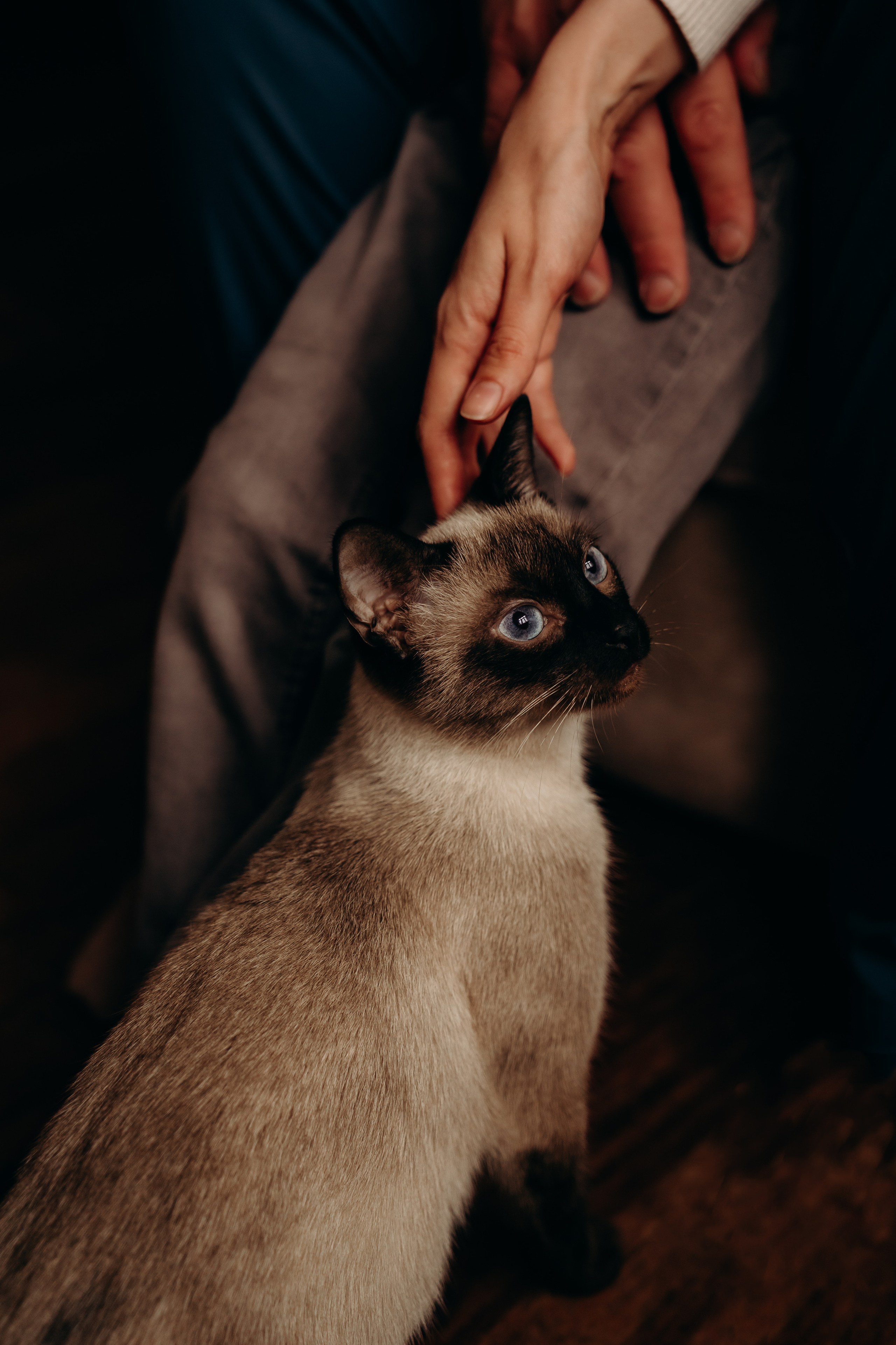 Maternity home photo session. Newcastle Upon Tyne Photographer Yana Balatskaya