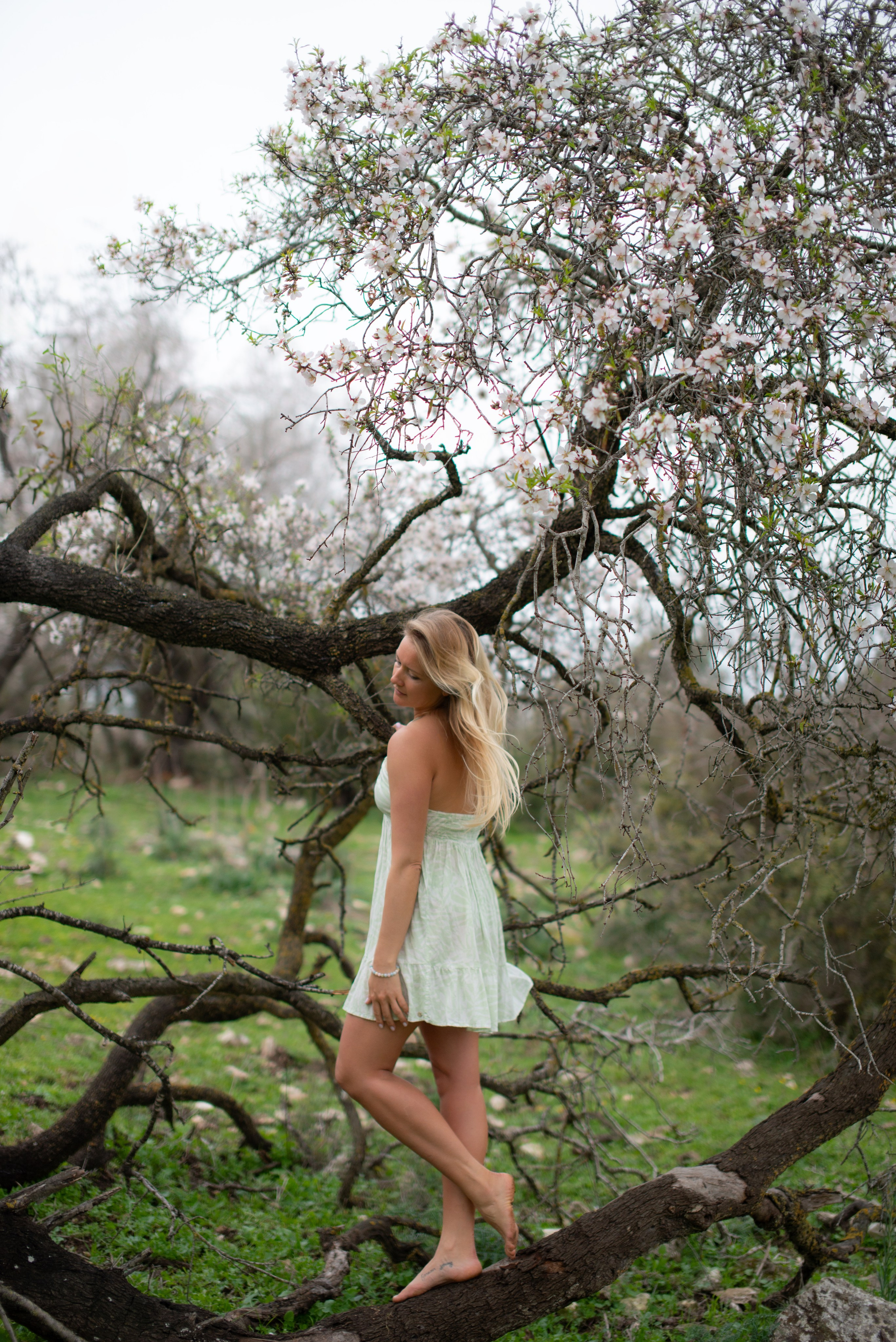 Blooming photoshoot. Dina Solomina | Photographer in Israel